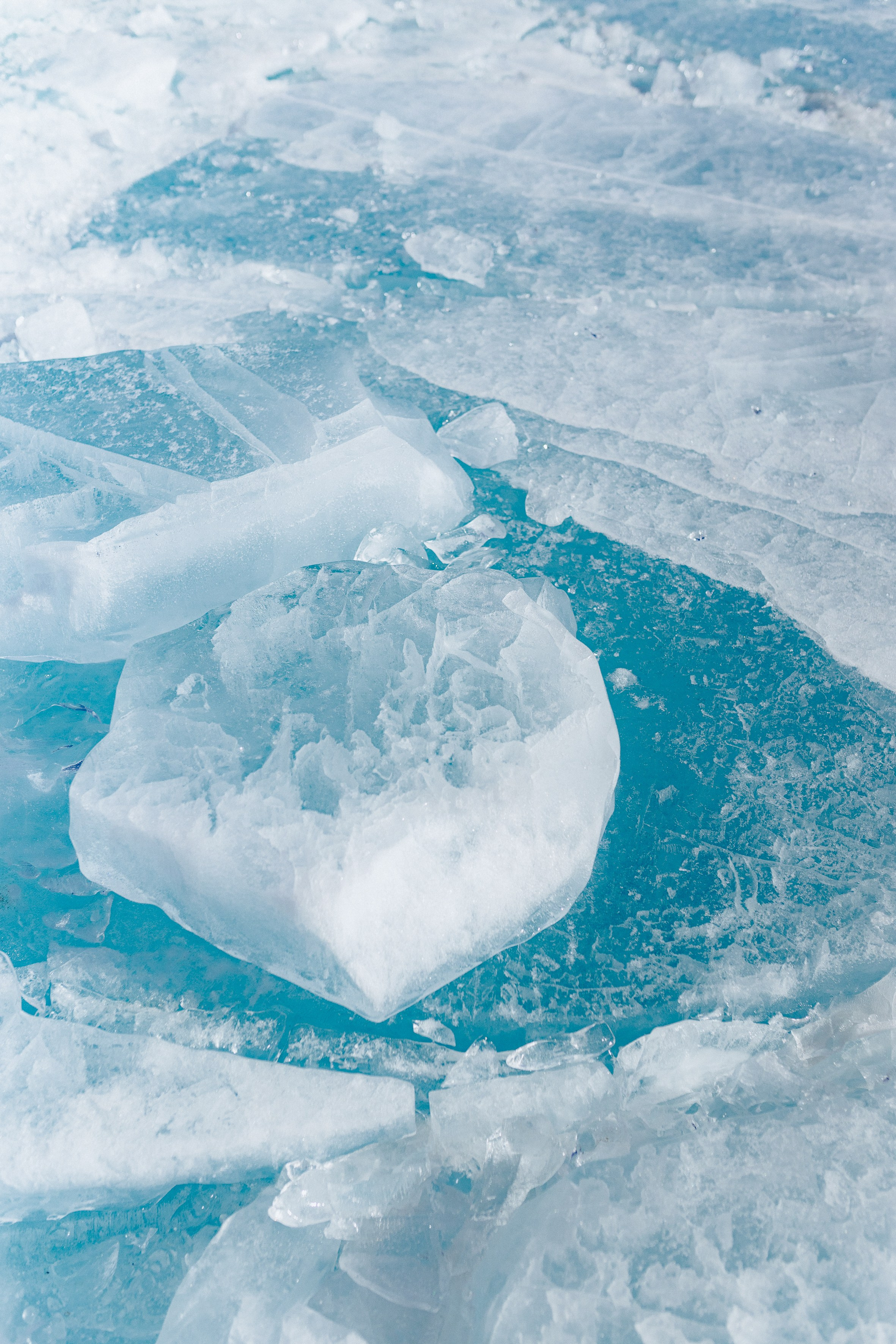 Полина Фаворская. Фотограф Ольхон/ Индия, Регина