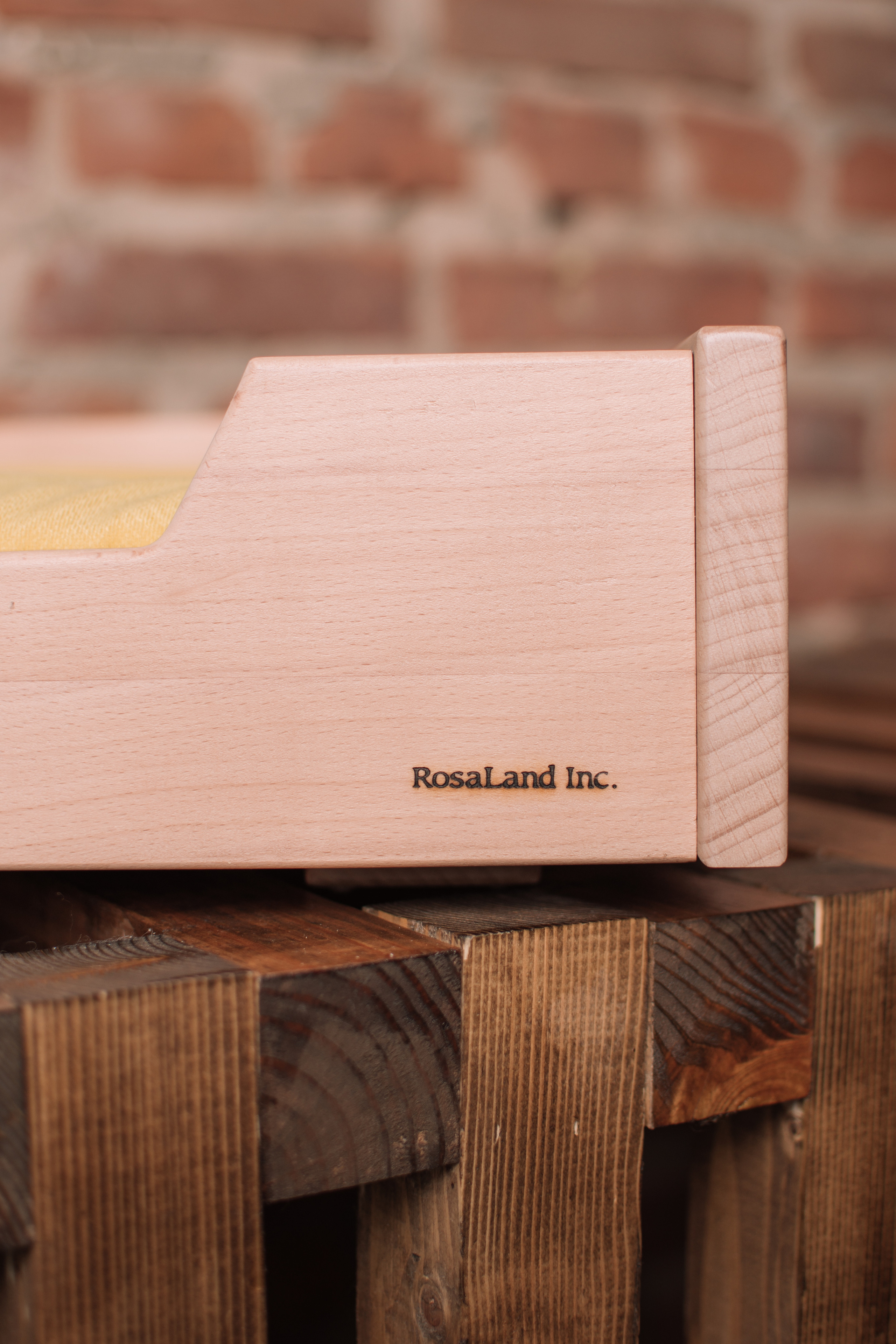 Контент съемка. Фотограф Москва