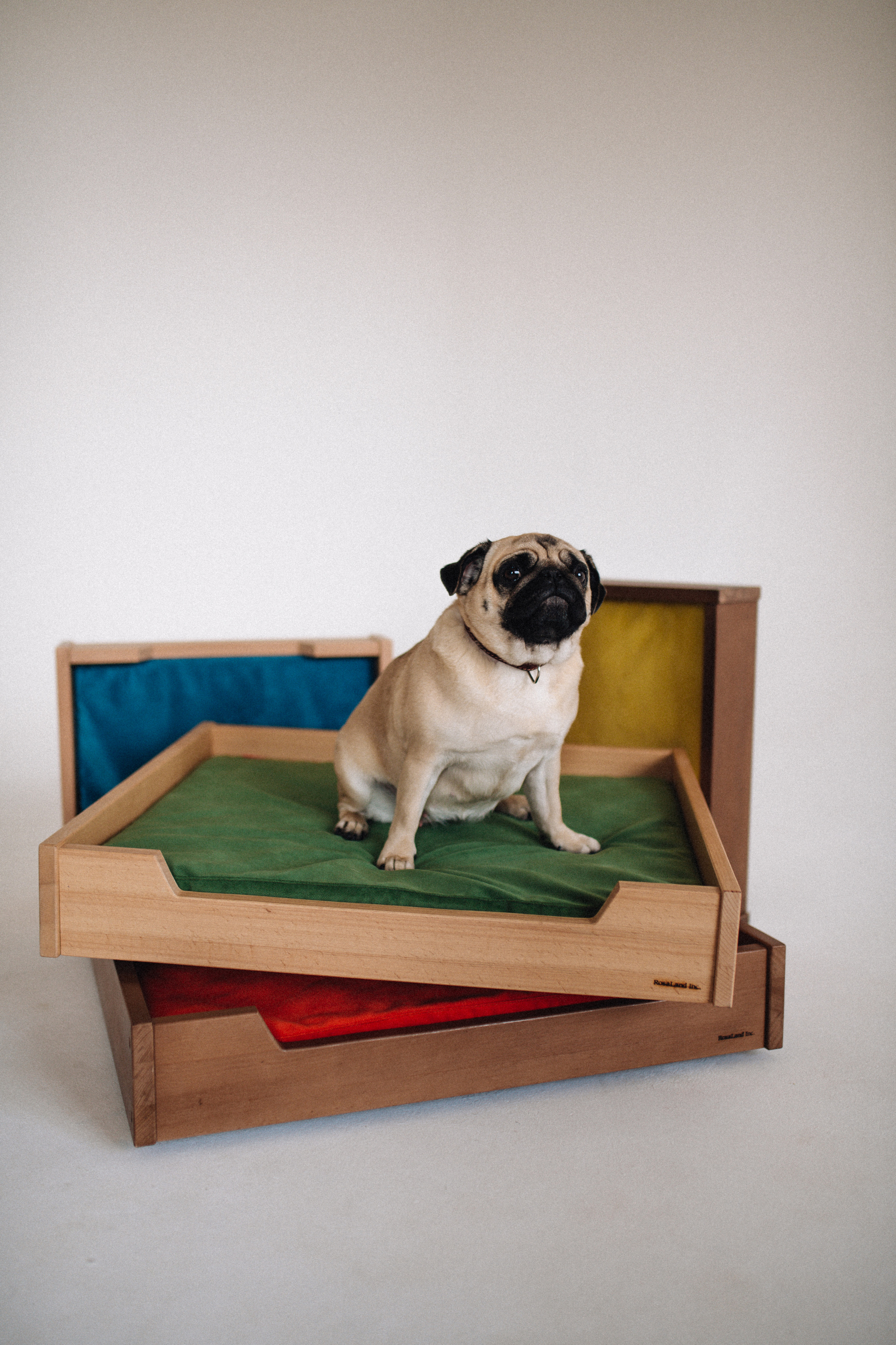 Контент съемка. Фотограф Москва