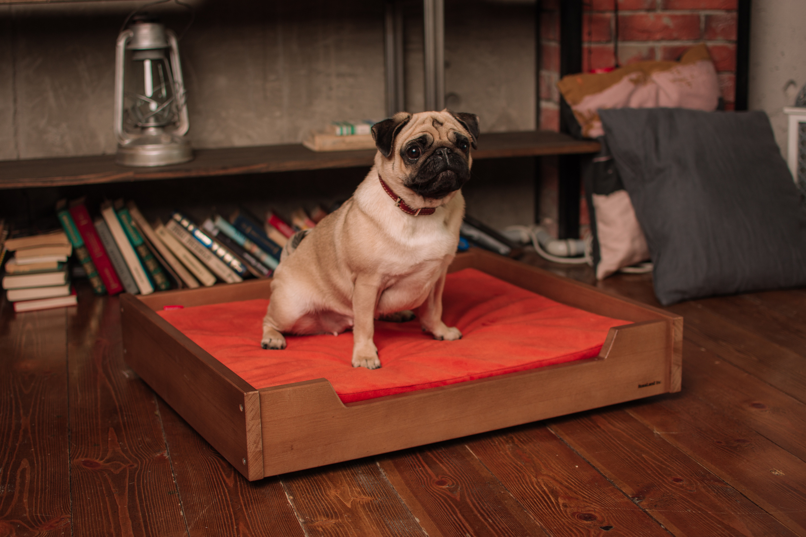 Контент съемка. Фотограф Москва