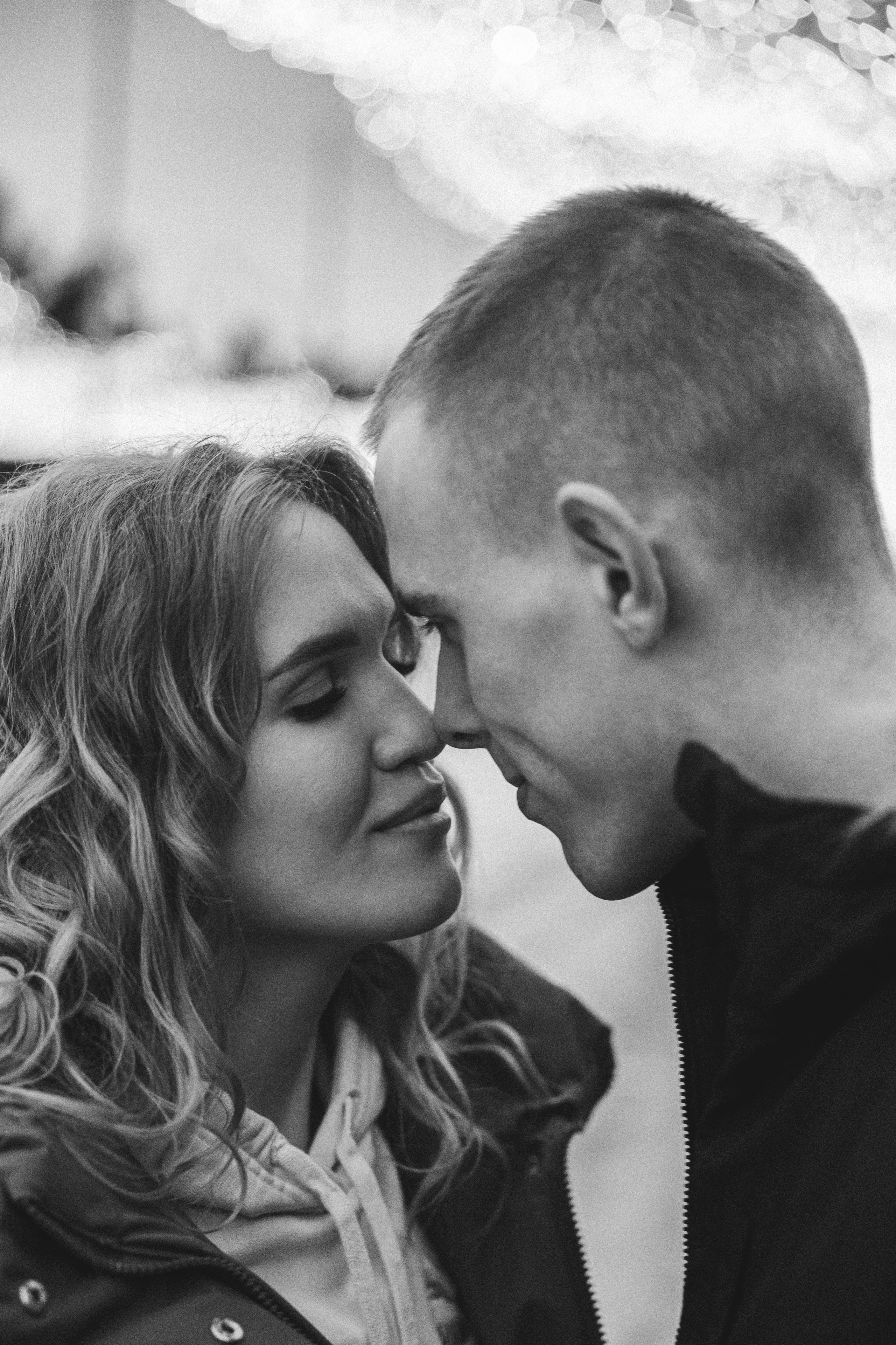 Предложение. Главная