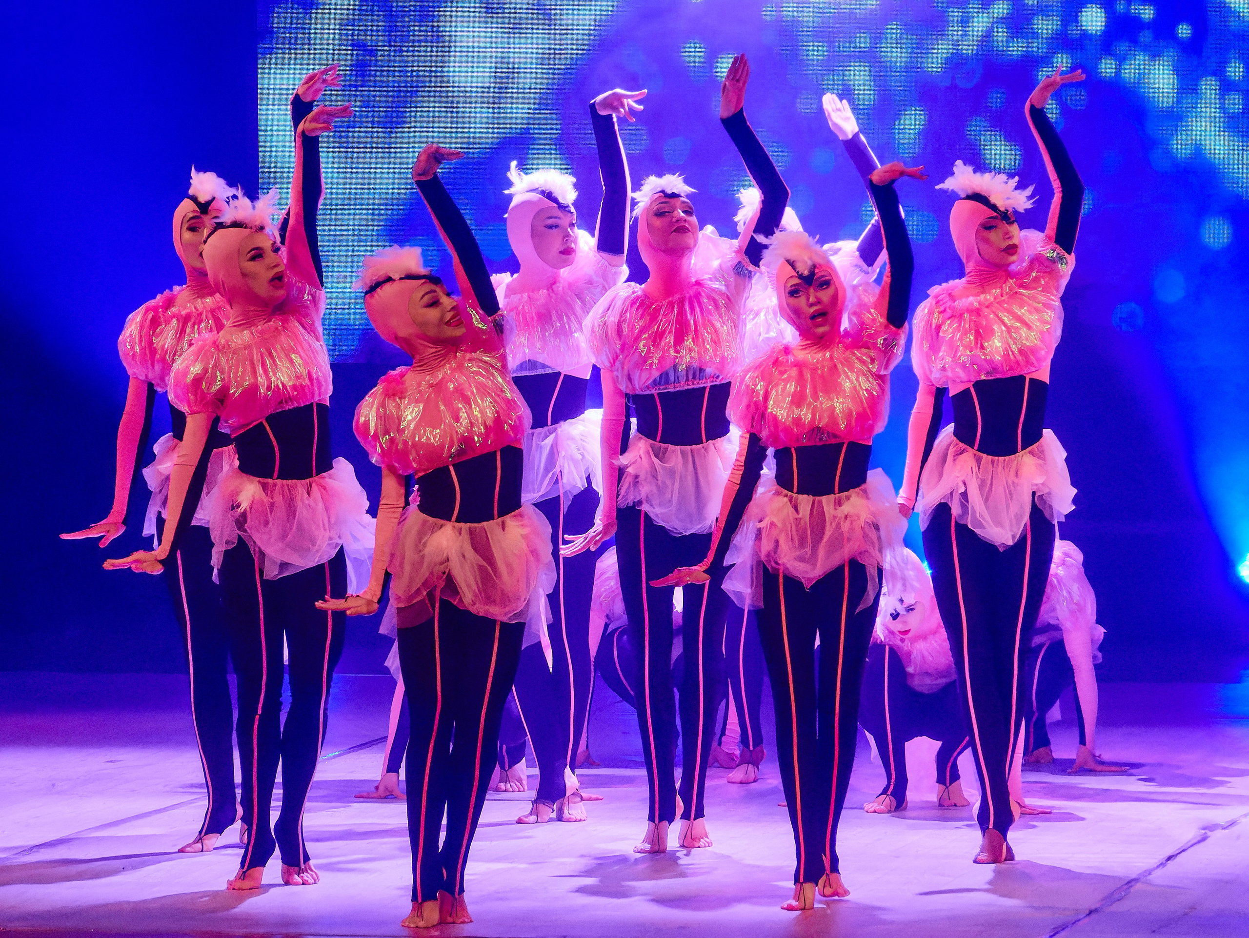 TODES-это уникальный танцевальный мир, вселенная Аллы Духовой!. Семейный и детский фотограф в Междуреченск Олег Бамбульский