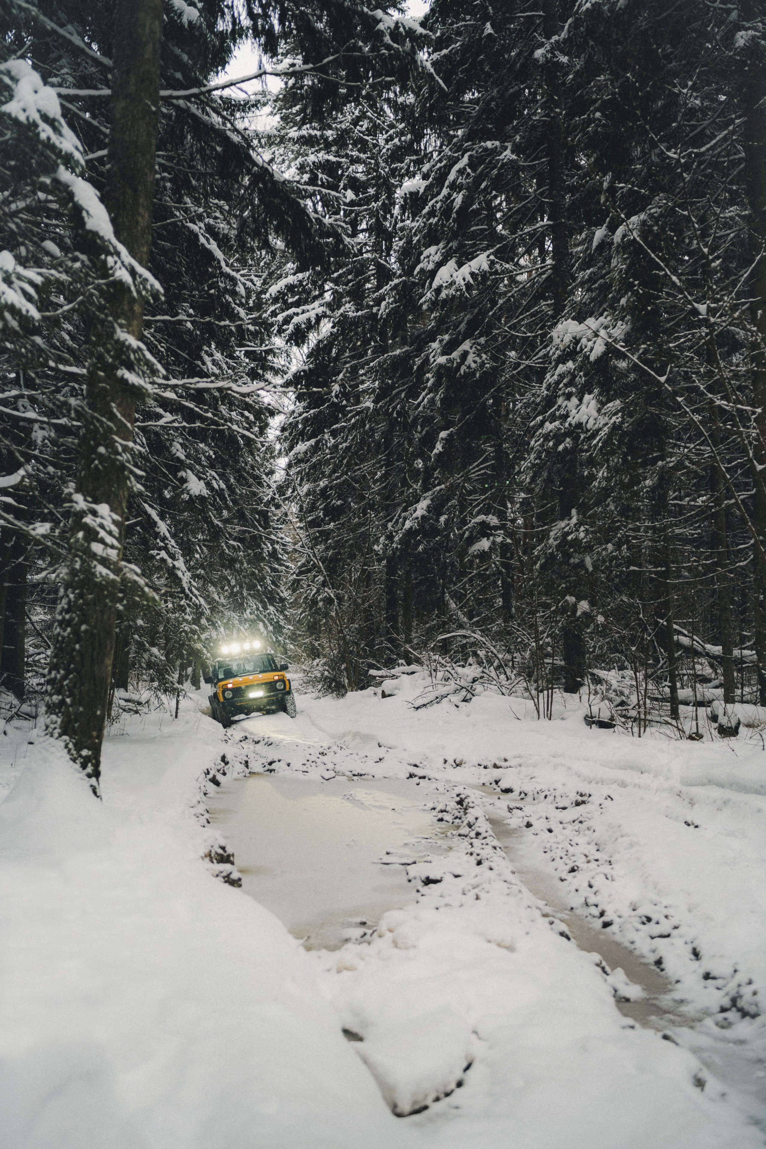 Niva Bronto (Nessie) x FAUNO. Фотограф Илья К. в Москве