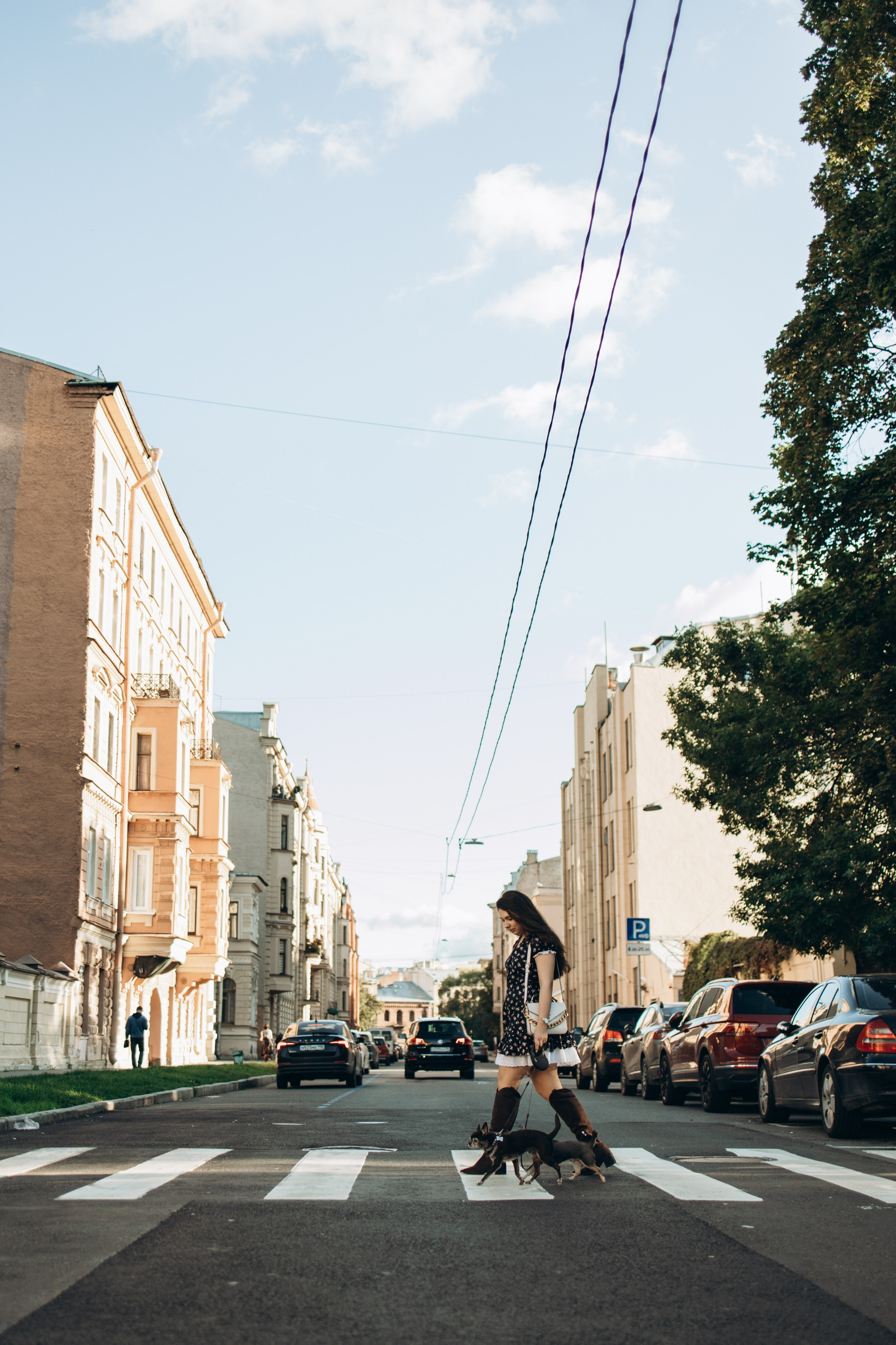 Даша и ее мальчики. Фотограф — Анималист | Санкт-Петербург