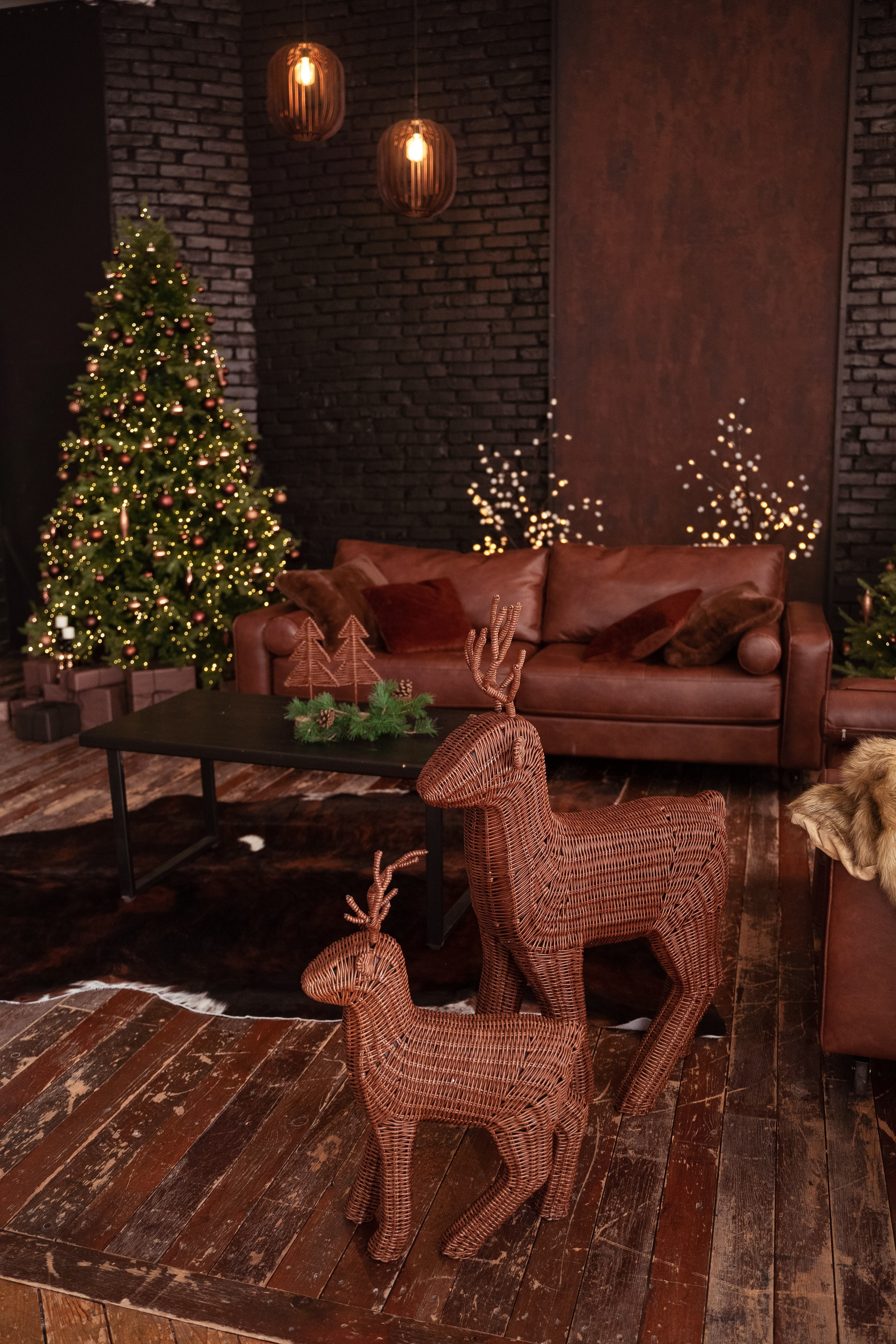 Браун (Brown). Фотограф г. Хабаровск. Семейные и индивидуальные съёмки