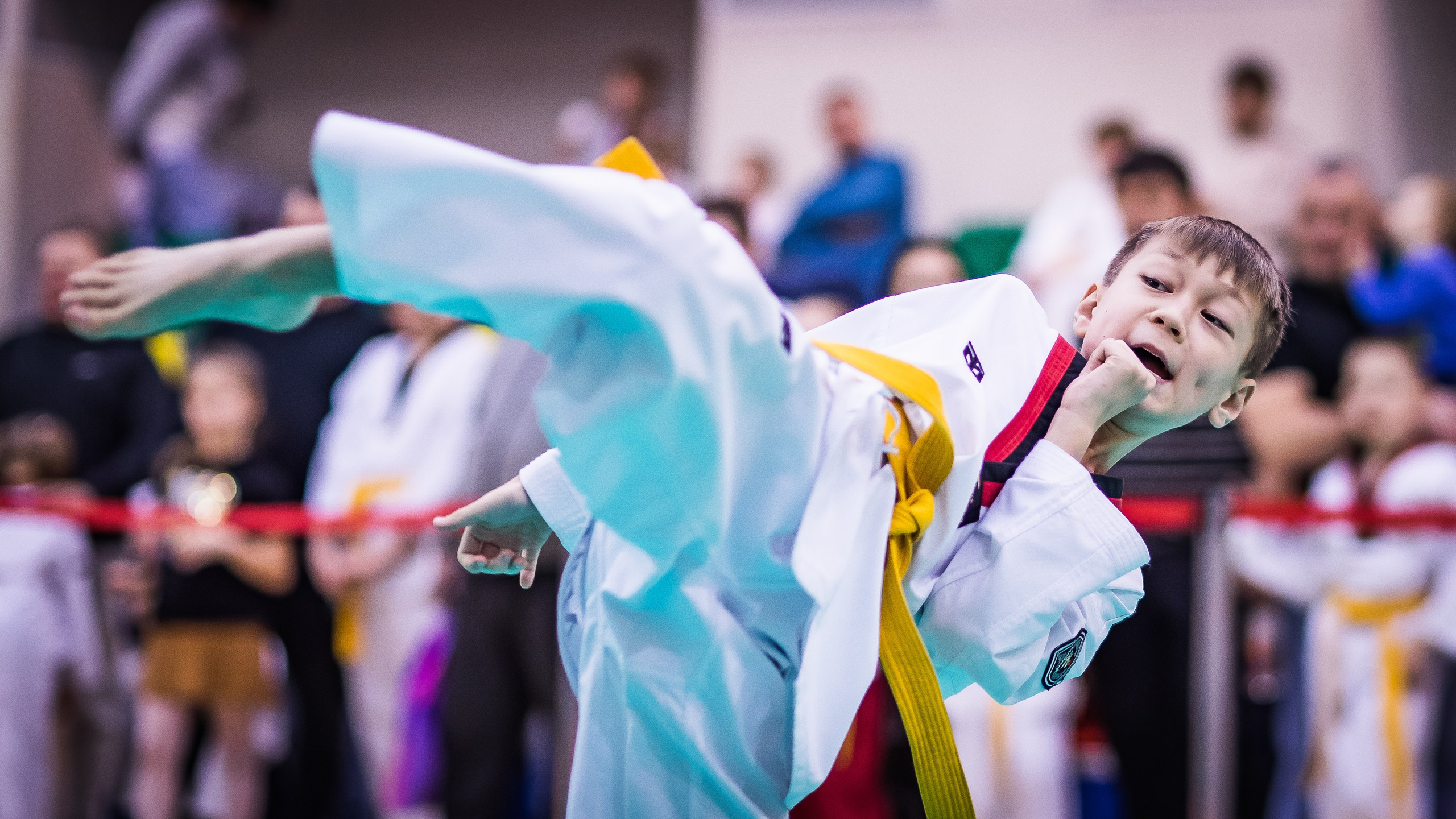 Турнир Федерации детского тхэквондо России по дисциплине ПХУМСЭ. Спортивный фотограф Максим Серегин