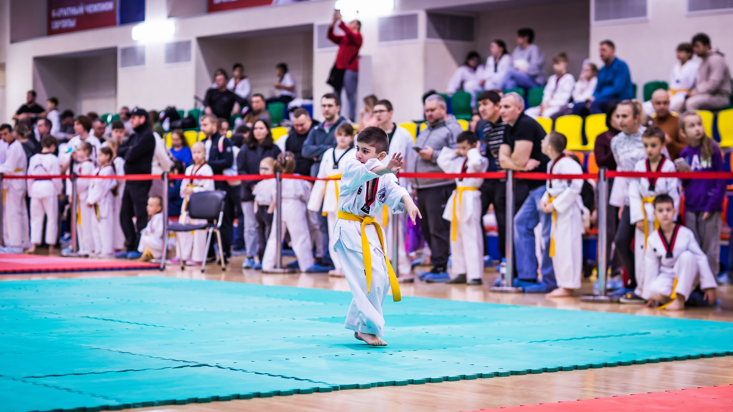 Турнир Федерации детского тхэквондо России по дисциплине ПХУМСЭ. Спортивный фотограф Максим Серегин