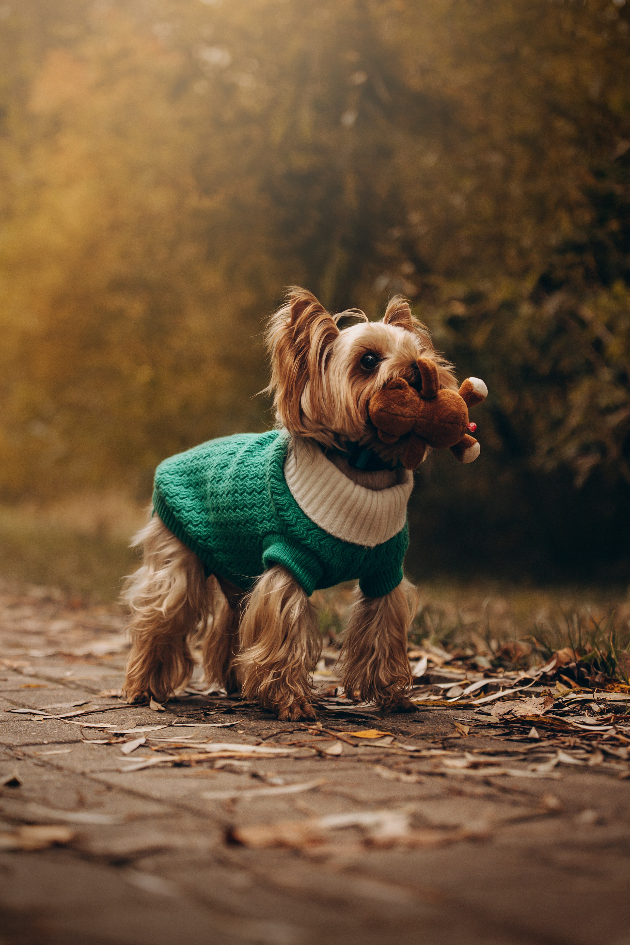 Настя и Тёма. Фотограф — Анималист | Санкт-Петербург