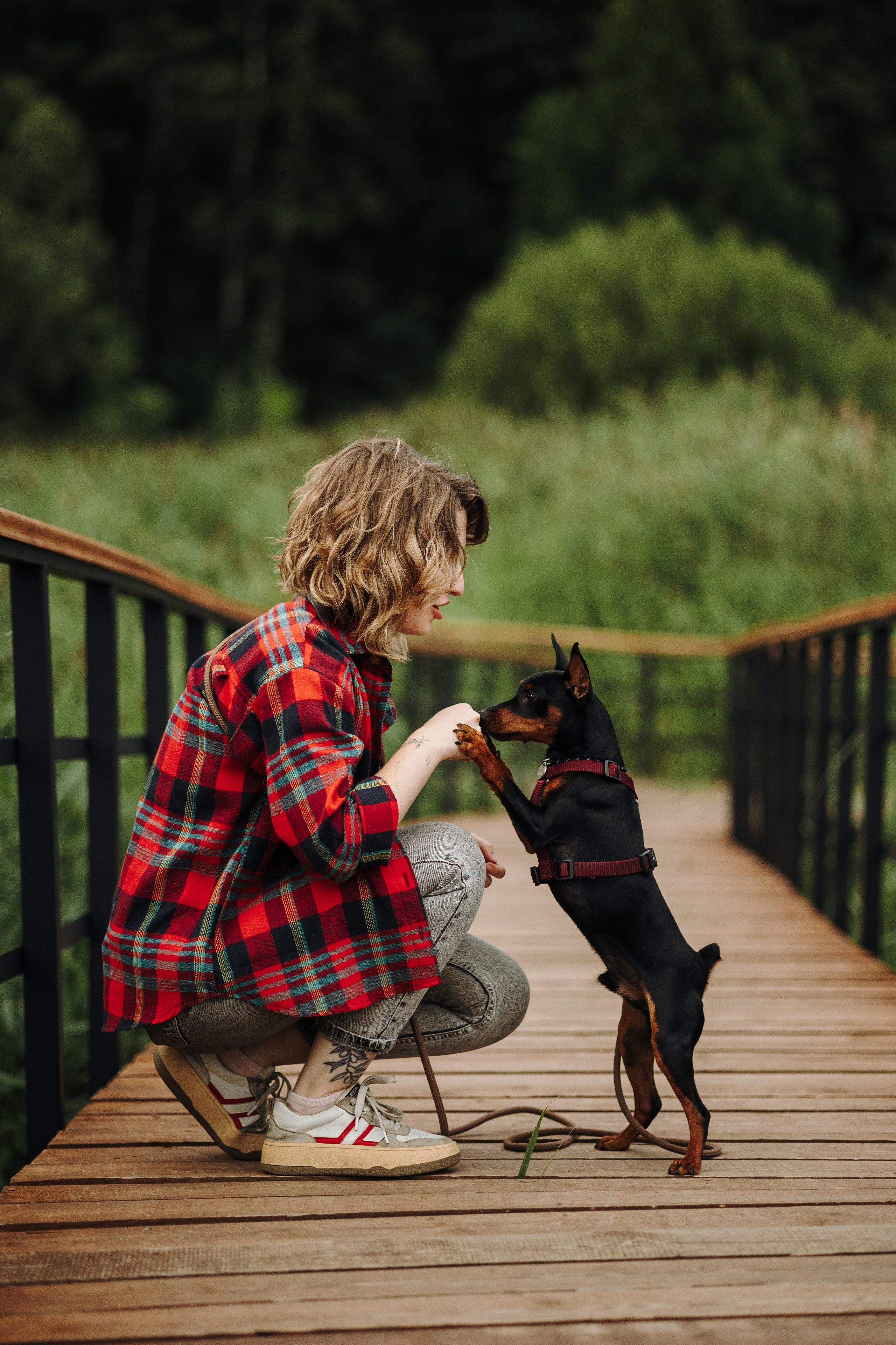 Сириус и его семья. Фотограф — Анималист | Санкт-Петербург