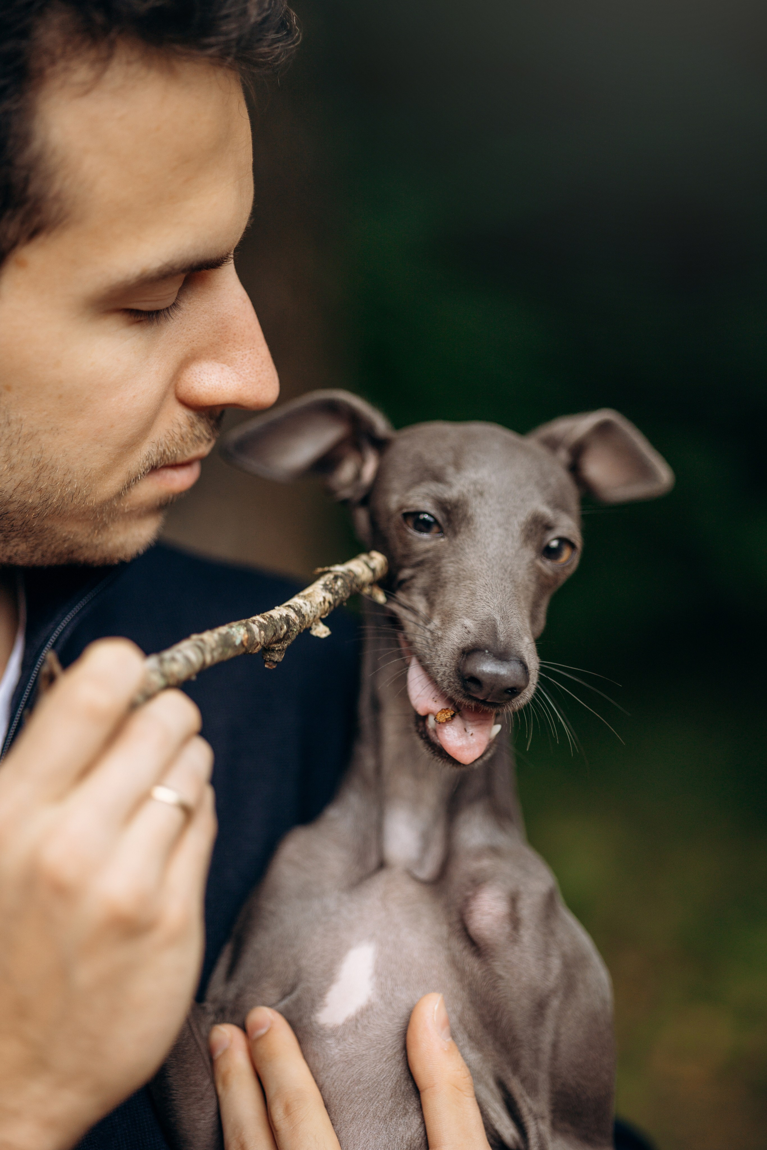 Лучик и ее семья. Фотограф — Анималист | Санкт-Петербург