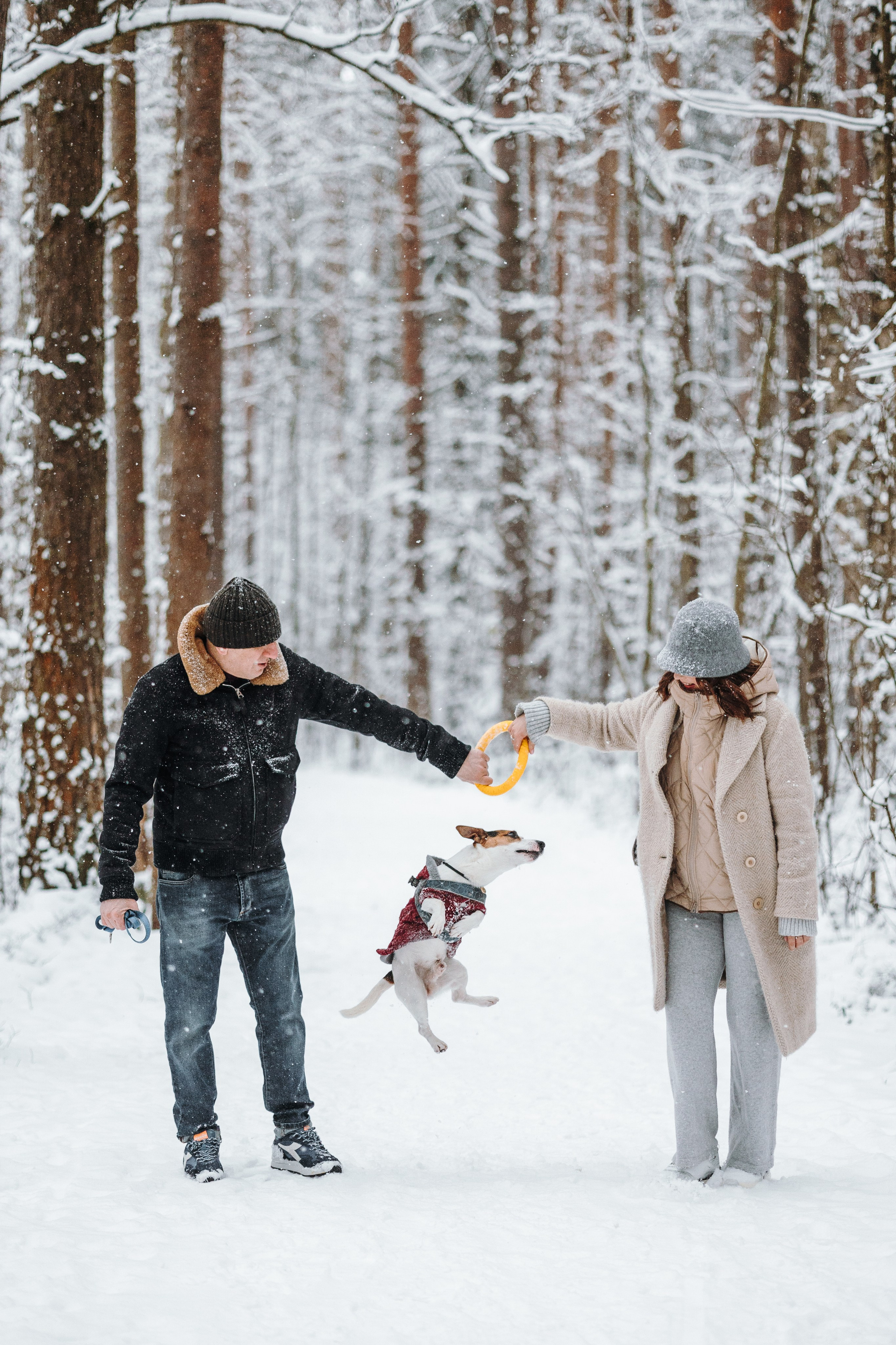 Мики и его семья. Фотограф — Анималист | Санкт-Петербург