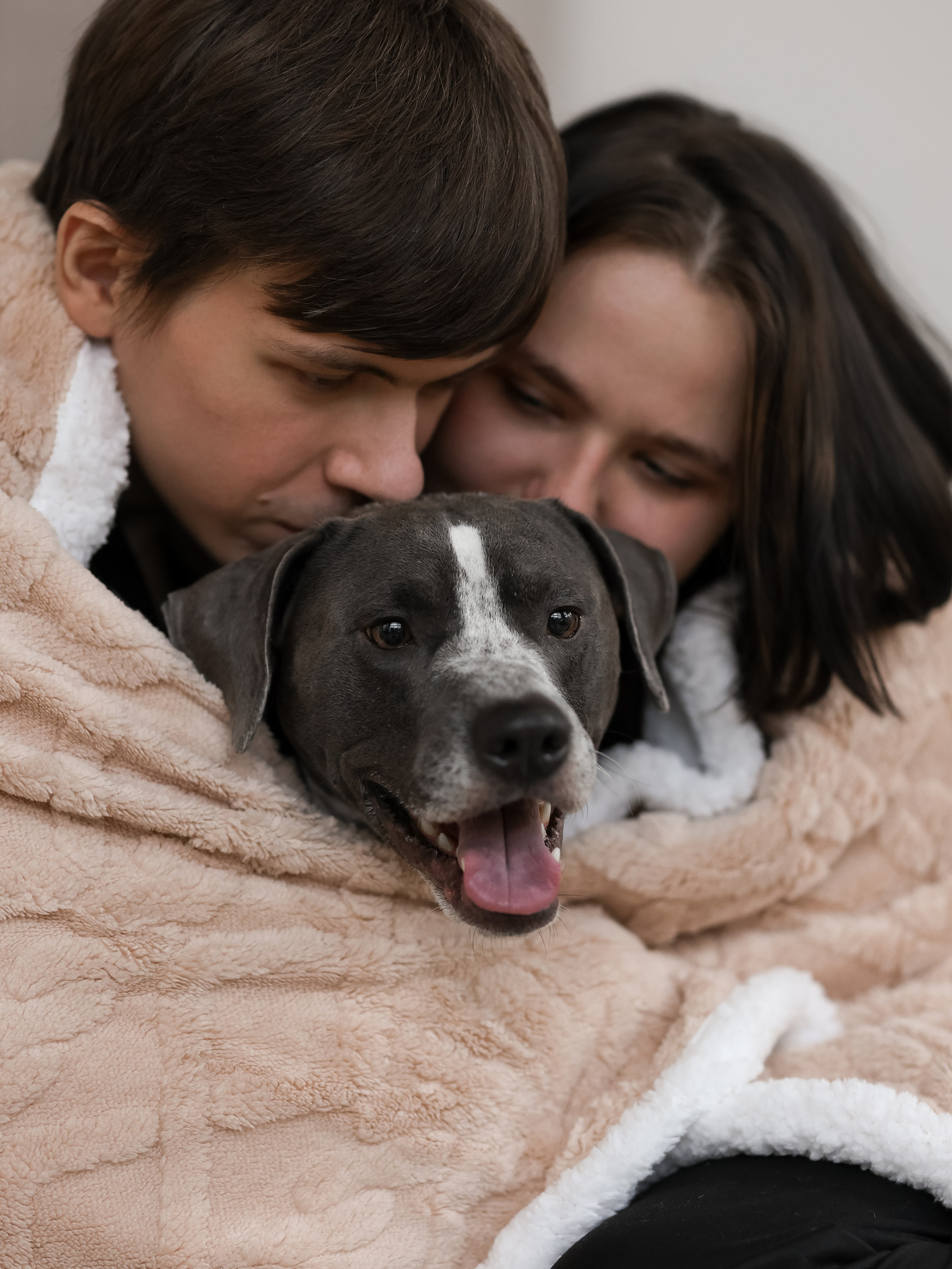Тортик Даша и Никита. Фотограф-анималист в Москве Кириллова Татьяна