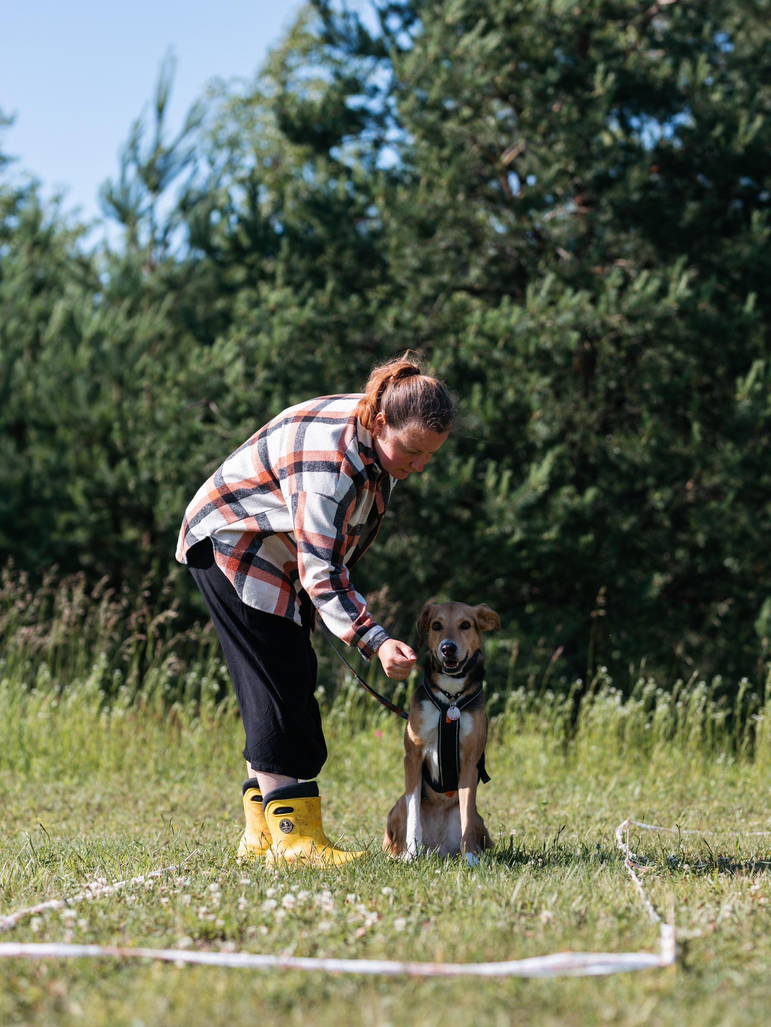 Лагерь ноузворк. Фотограф-анималист в Москве Кириллова Татьяна