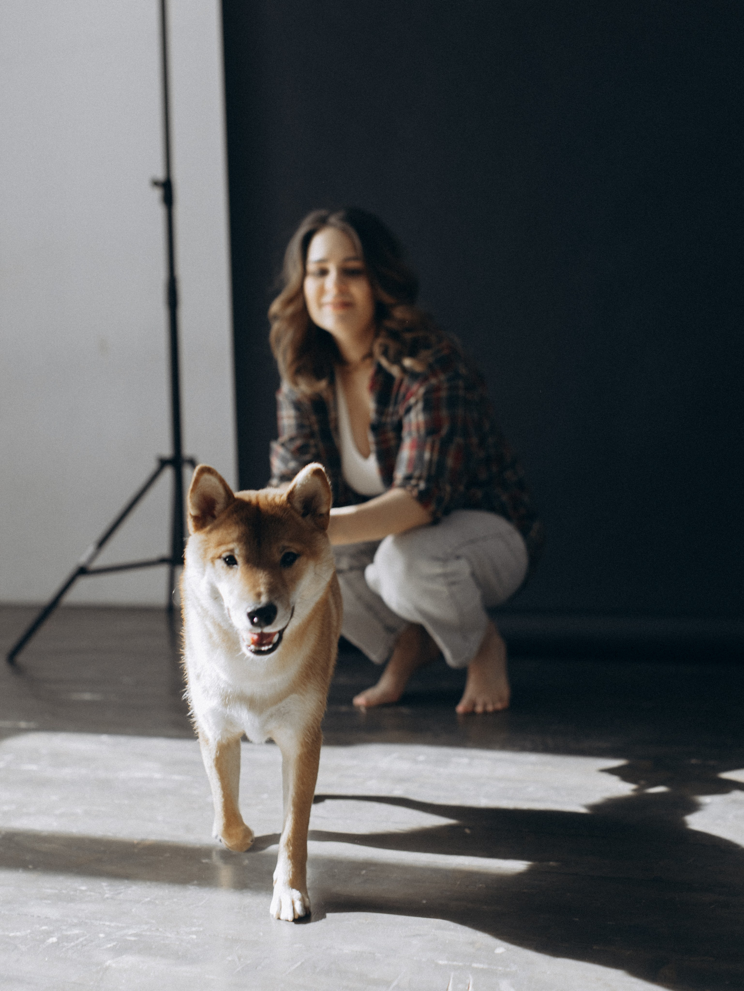 Мика и Настя. Фотограф-анималист в Москве Кириллова Татьяна