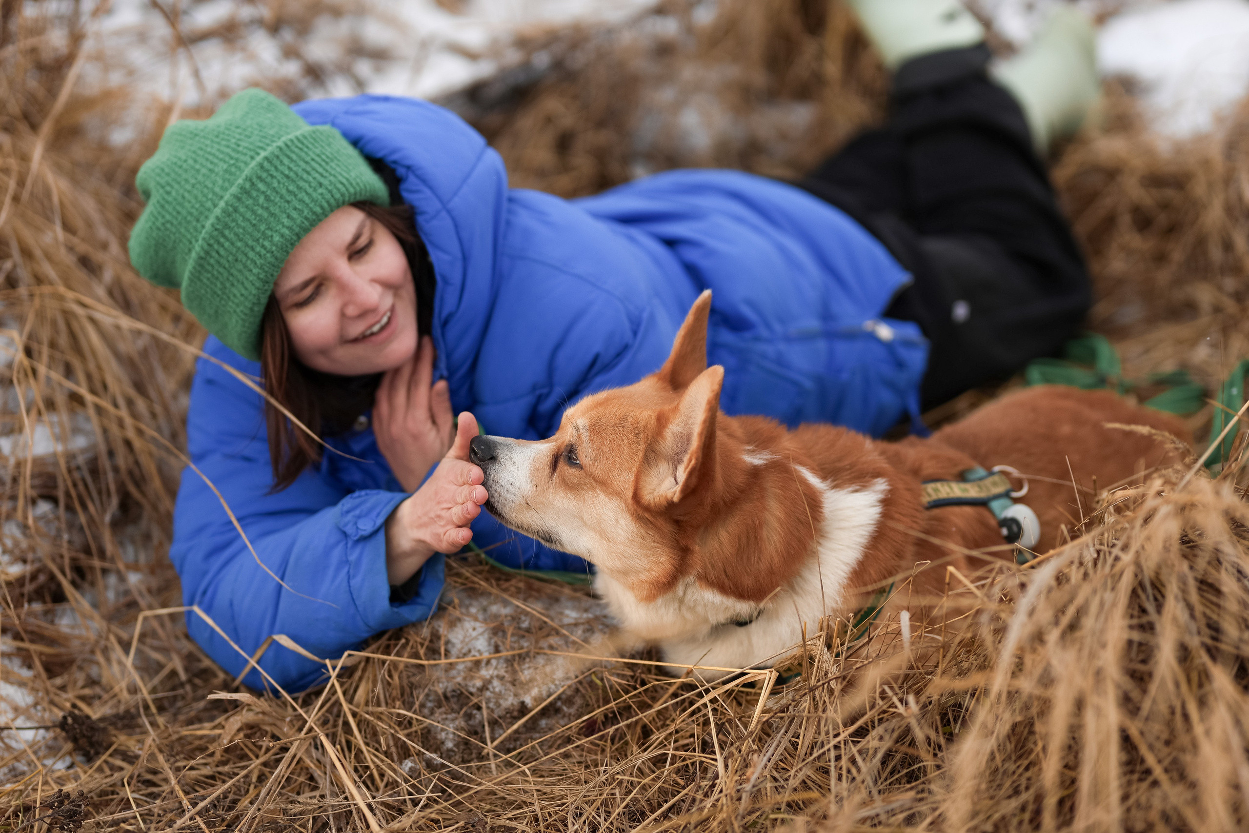 Трой, Балу и Катя. Фотограф-анималист в Москве Кириллова Татьяна