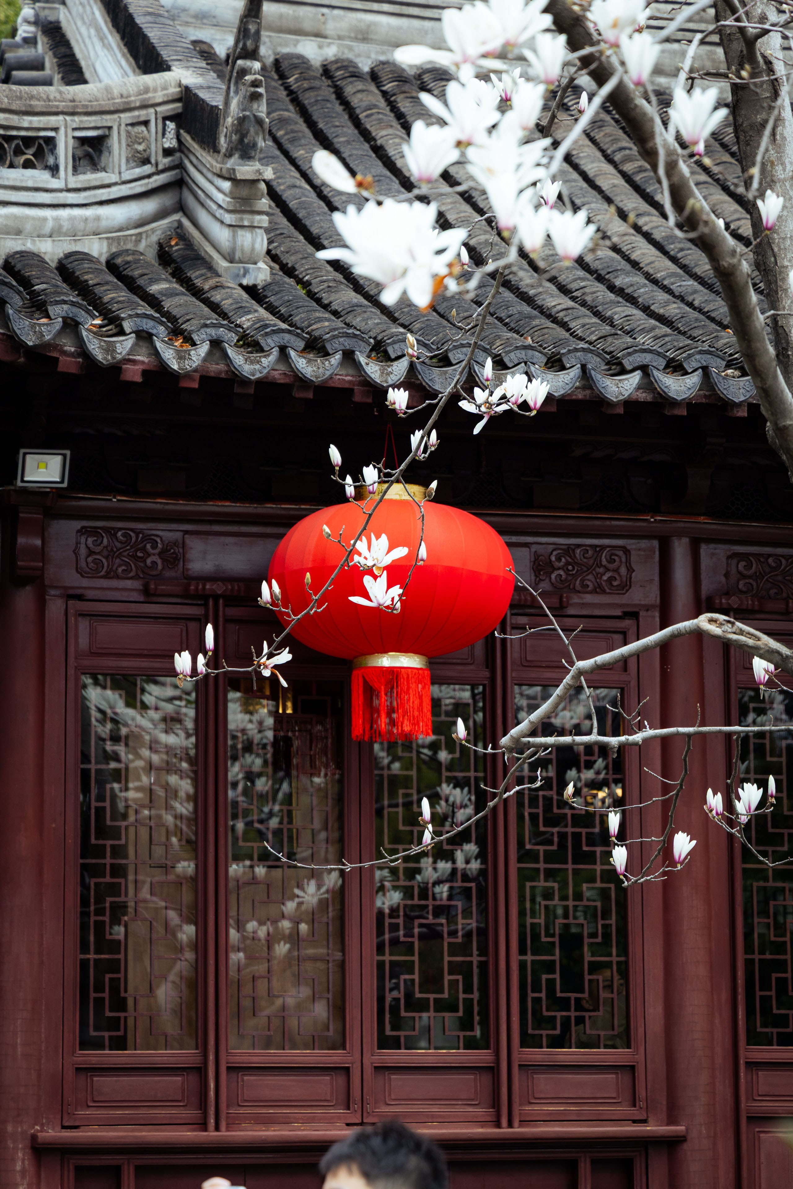 Шанхай (март 2026). Фотограф Виноградов Константин