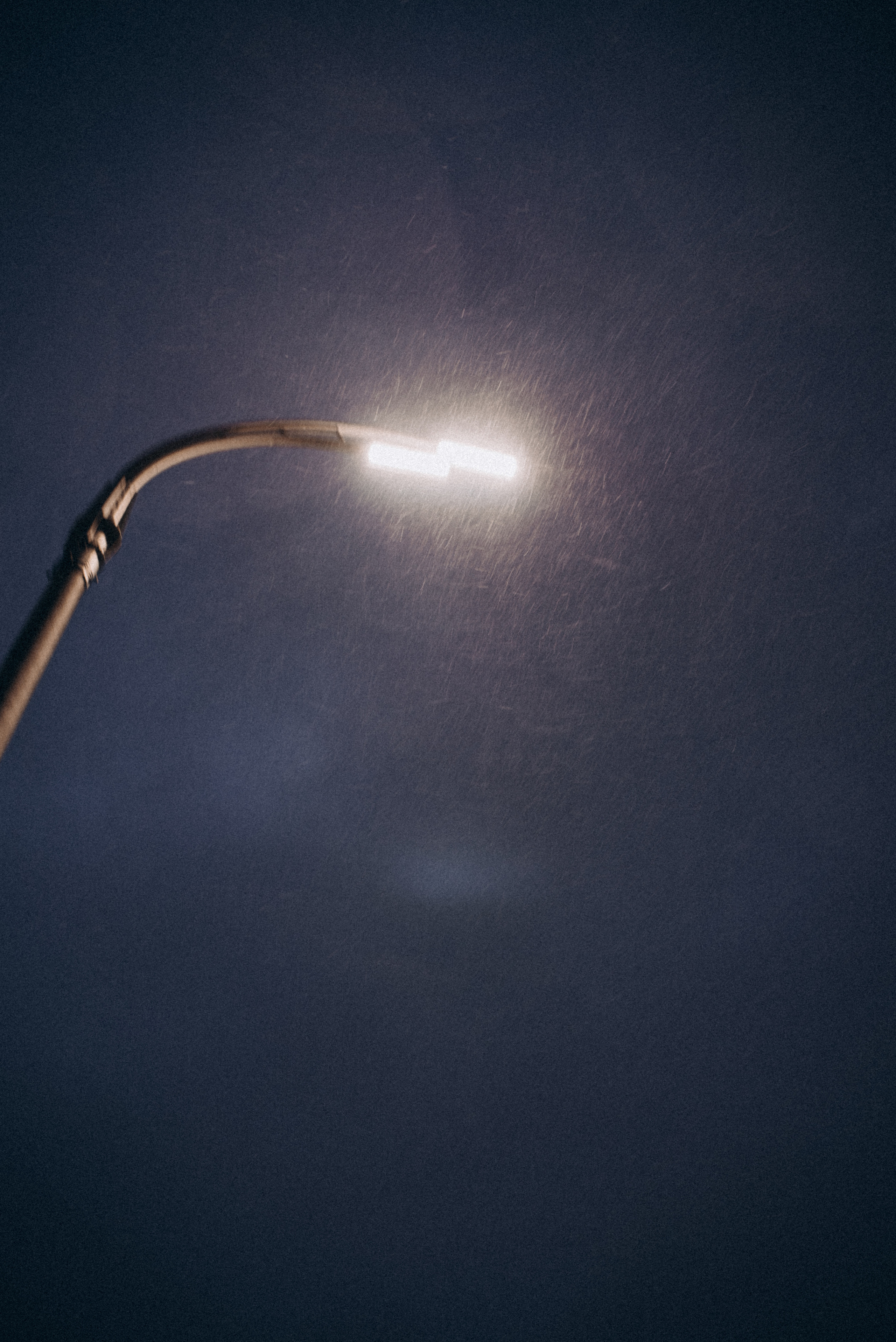 *. Фотограф Данил Бушуев