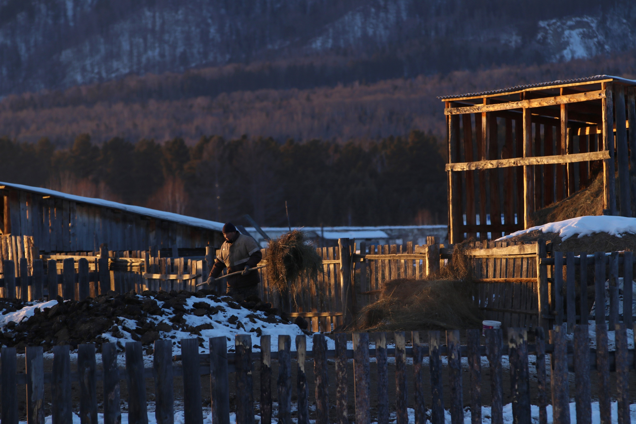 Аршан. Февраль 2025. Путешественник-фотограф из Санкт-Петербурга Татьяна Свистулина