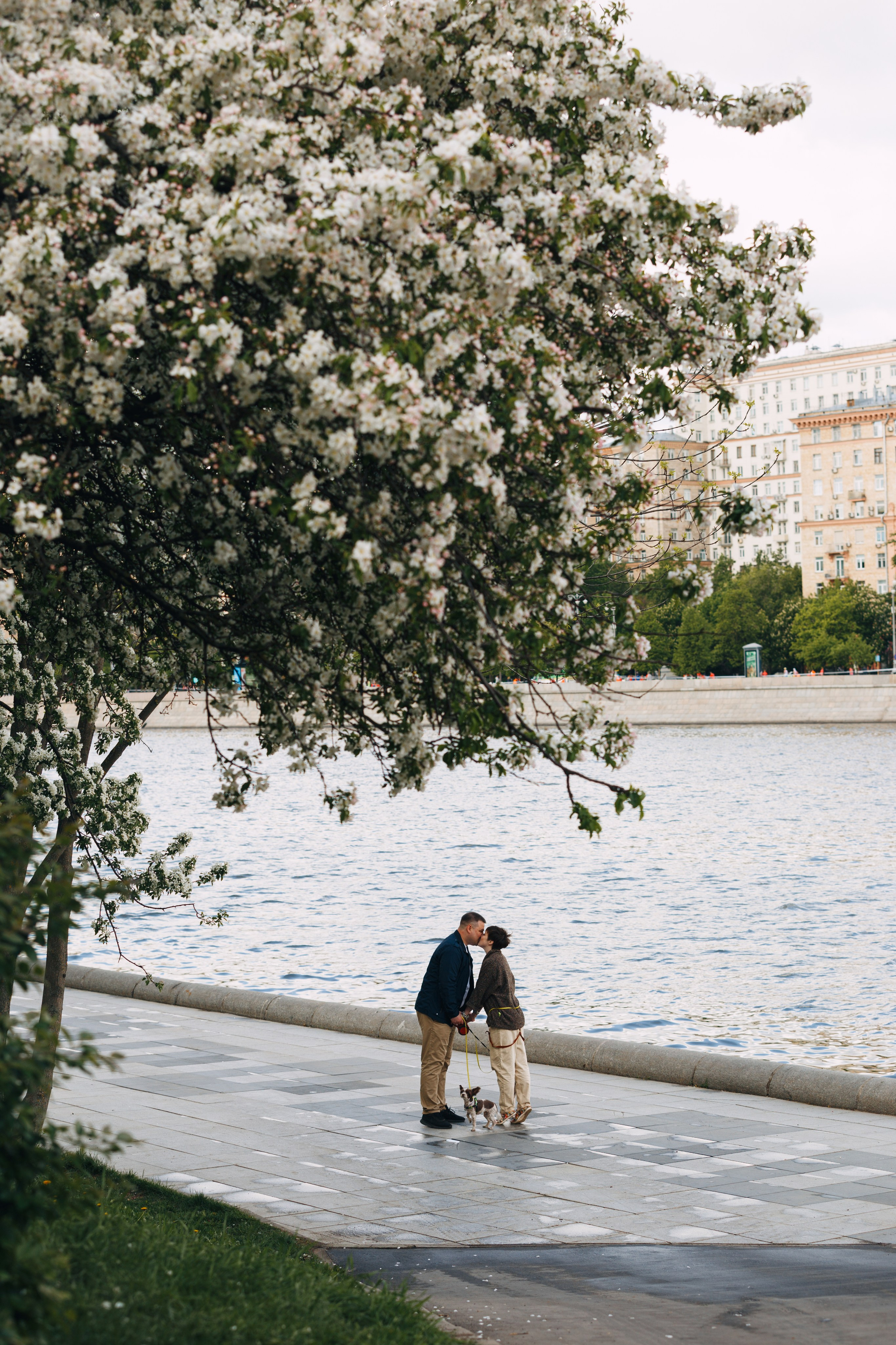 Оля, Патрик, Мейли и Джонни. Фотограф анималист Кристина Карпова, Москва