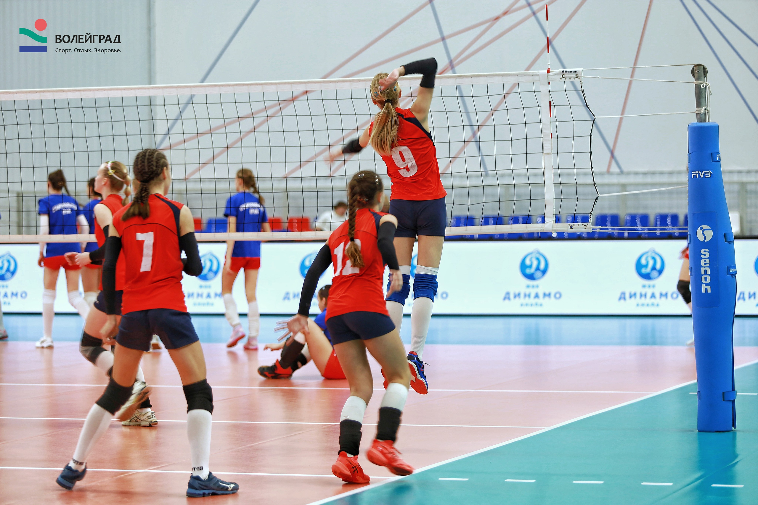 Волейбол ВФВ 05.04.24. Репортажный фотограф Анапа