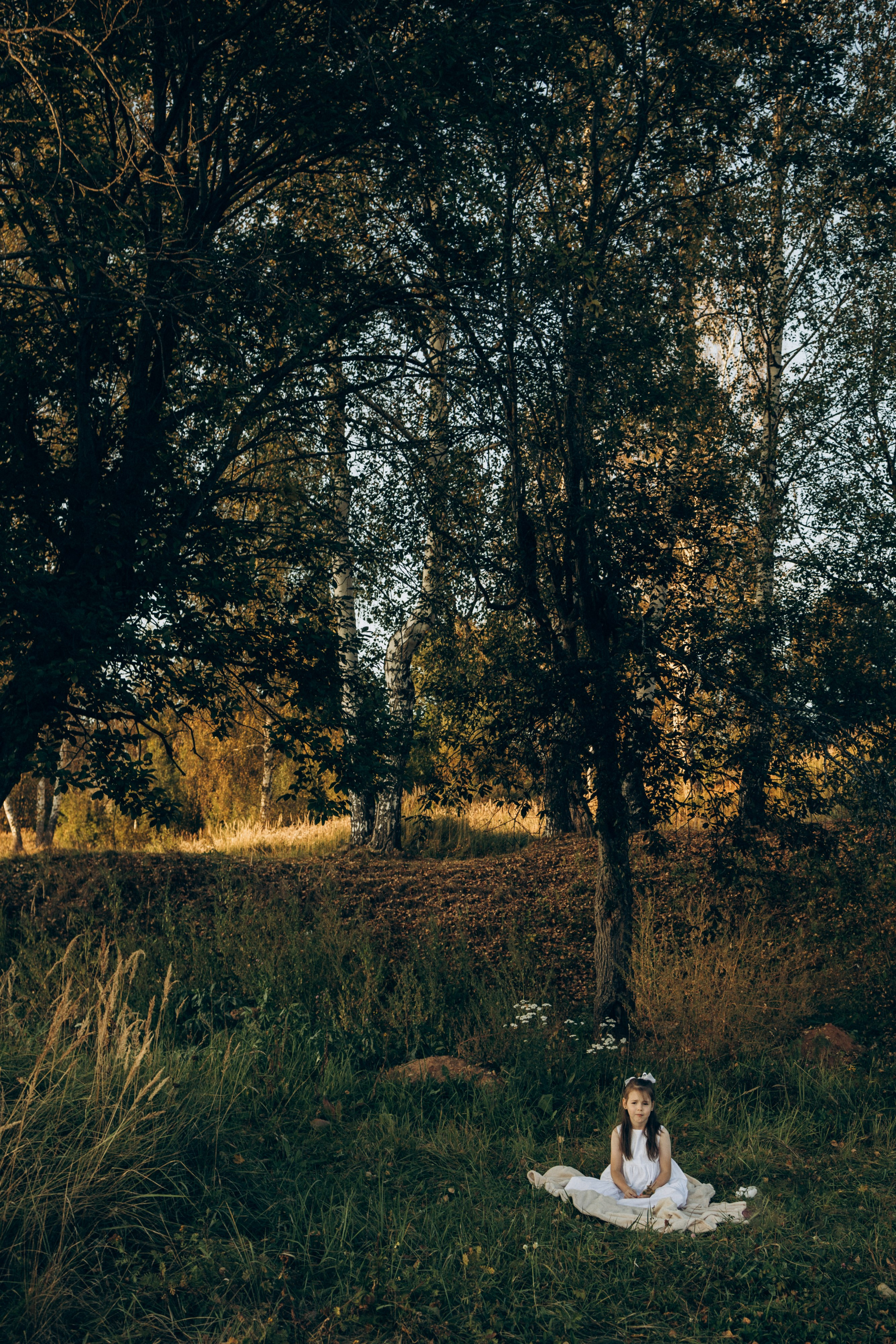 Семейная в поле. Фотограф Ярославль|Кострома|Нерехта Гундерина Светлана