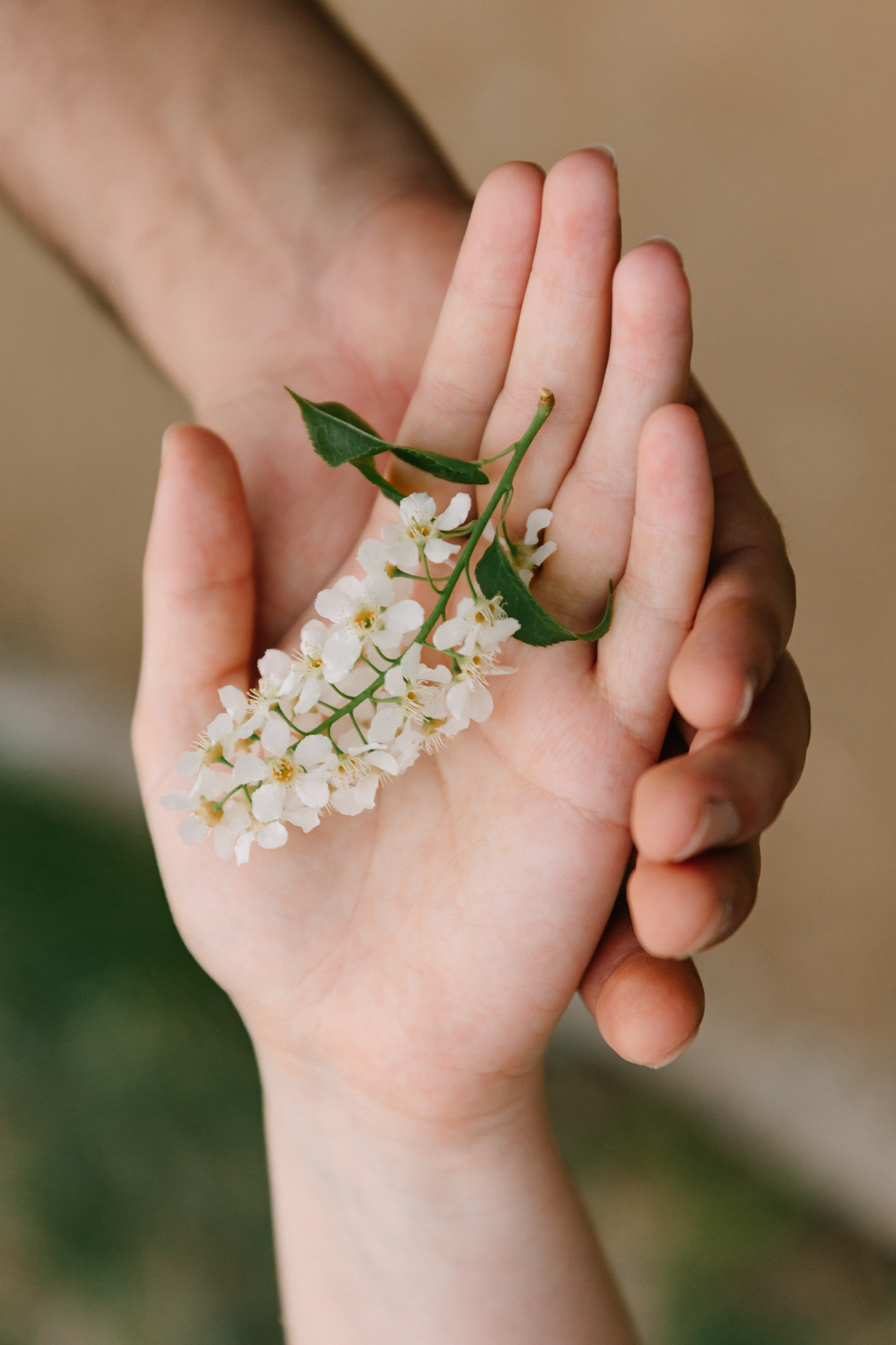 & a. Свадебный и семейный фотограф в Красноярске Абраменко Настя