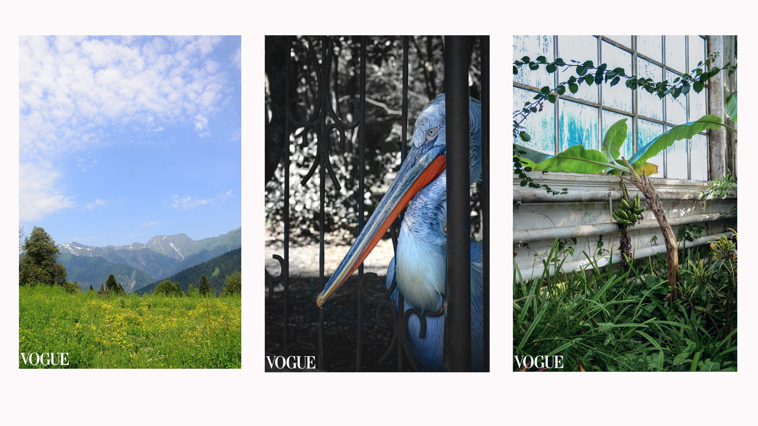 Фотограф Наталия Шляпина в Ростове-на-Дону