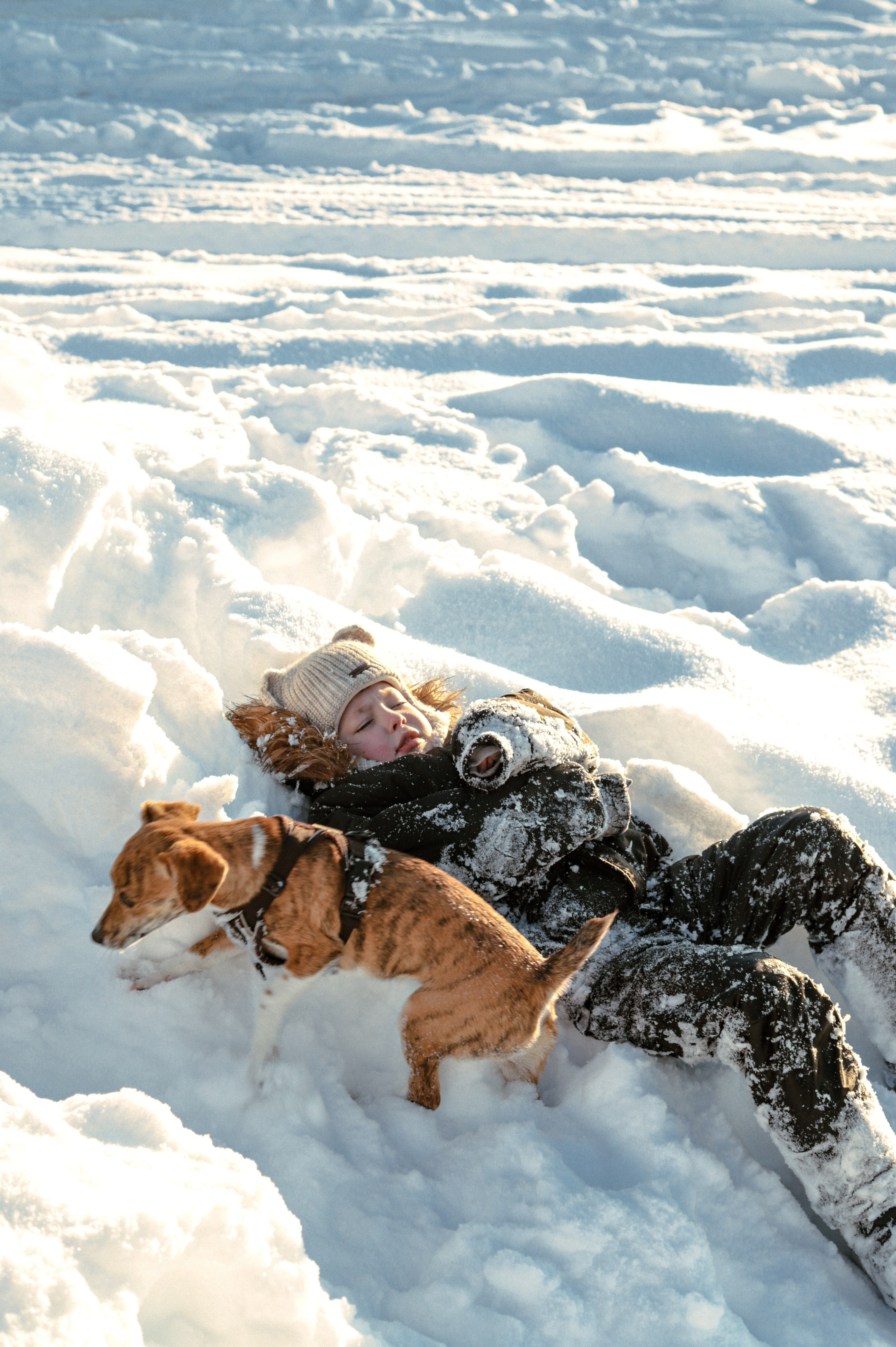 Семейные и беременность. Главная
