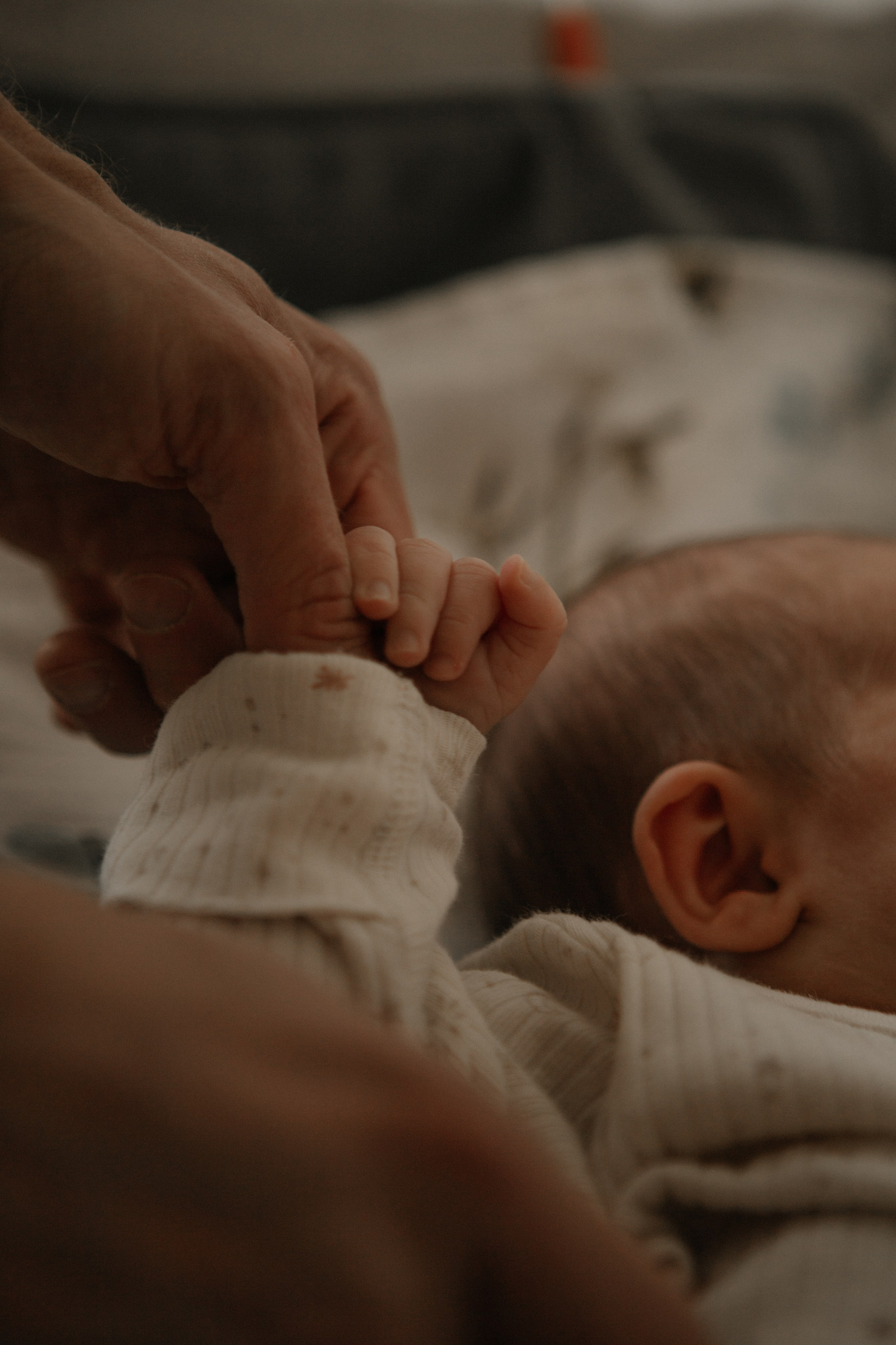 Kira + Katya & Igor. Portrait, family and pet photographer in Cyprus, Ksenia Bourdelle