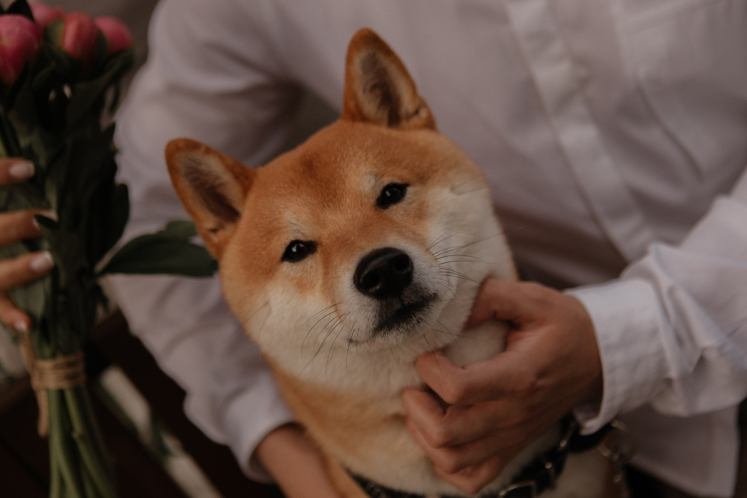 Dima and Katya. Portrait, family and pet photographer in Cyprus, Ksenia Bourdelle