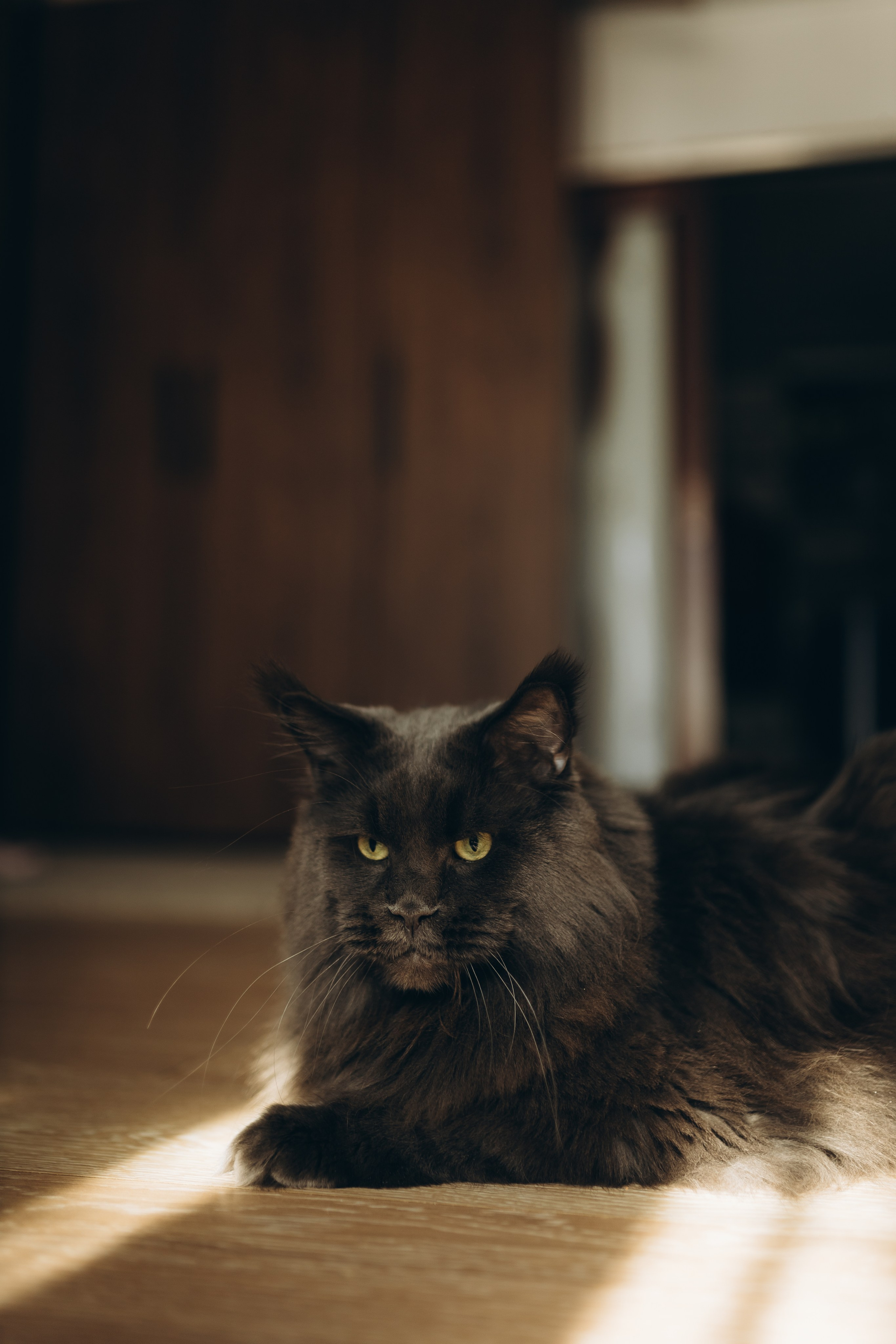 Мила. Ph.nataluuna ФОТОГРАФ СЕРГИЕВ ПОСАД