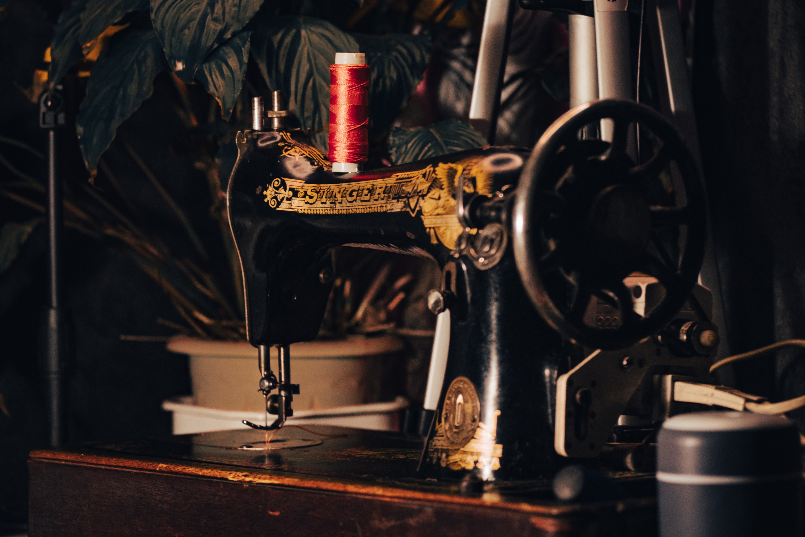 Без людей. Фотограф Крутой Максим