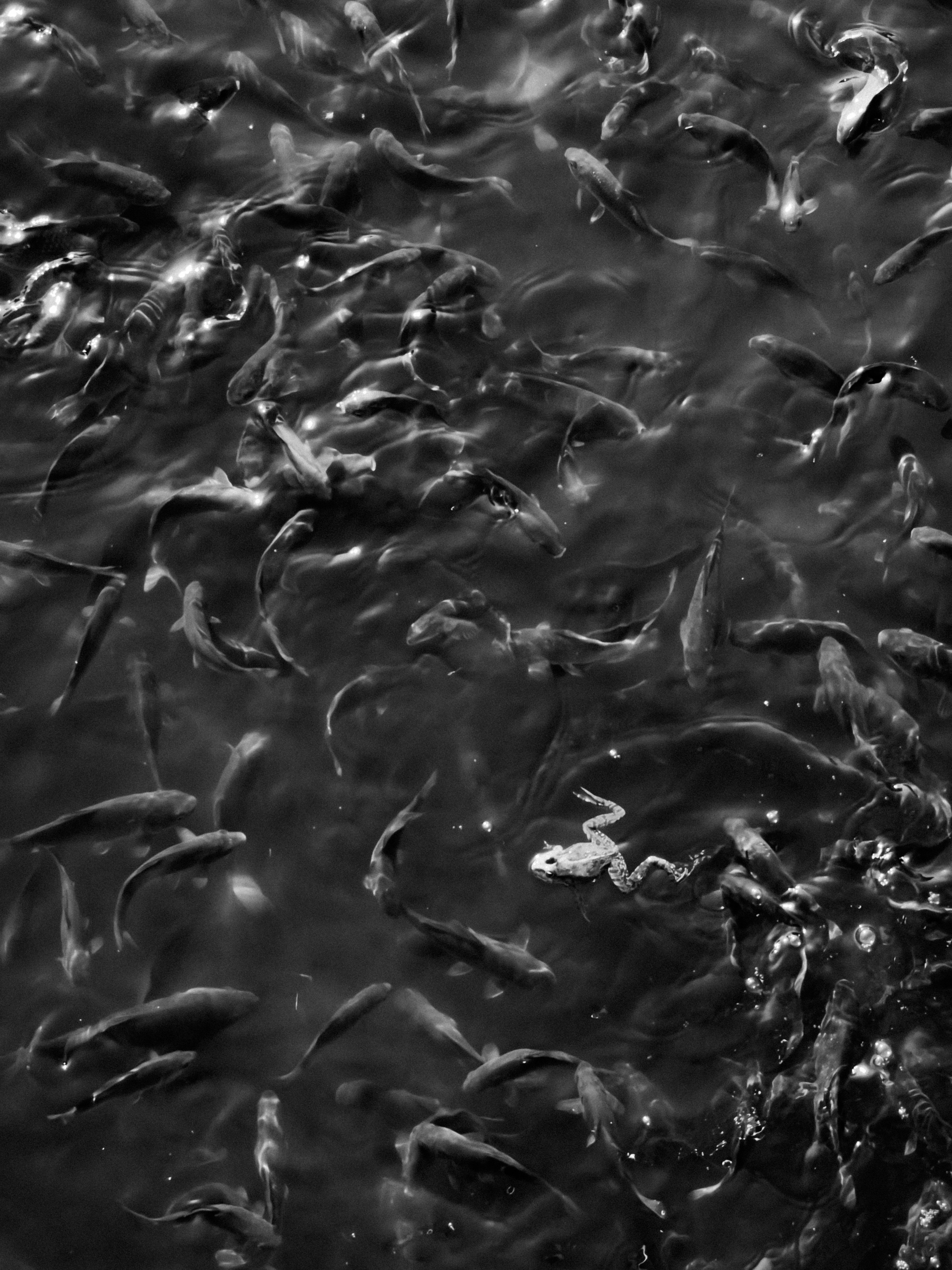 Пейзаж. Сюжетный и репортажный фотограф, Миша Муромцев