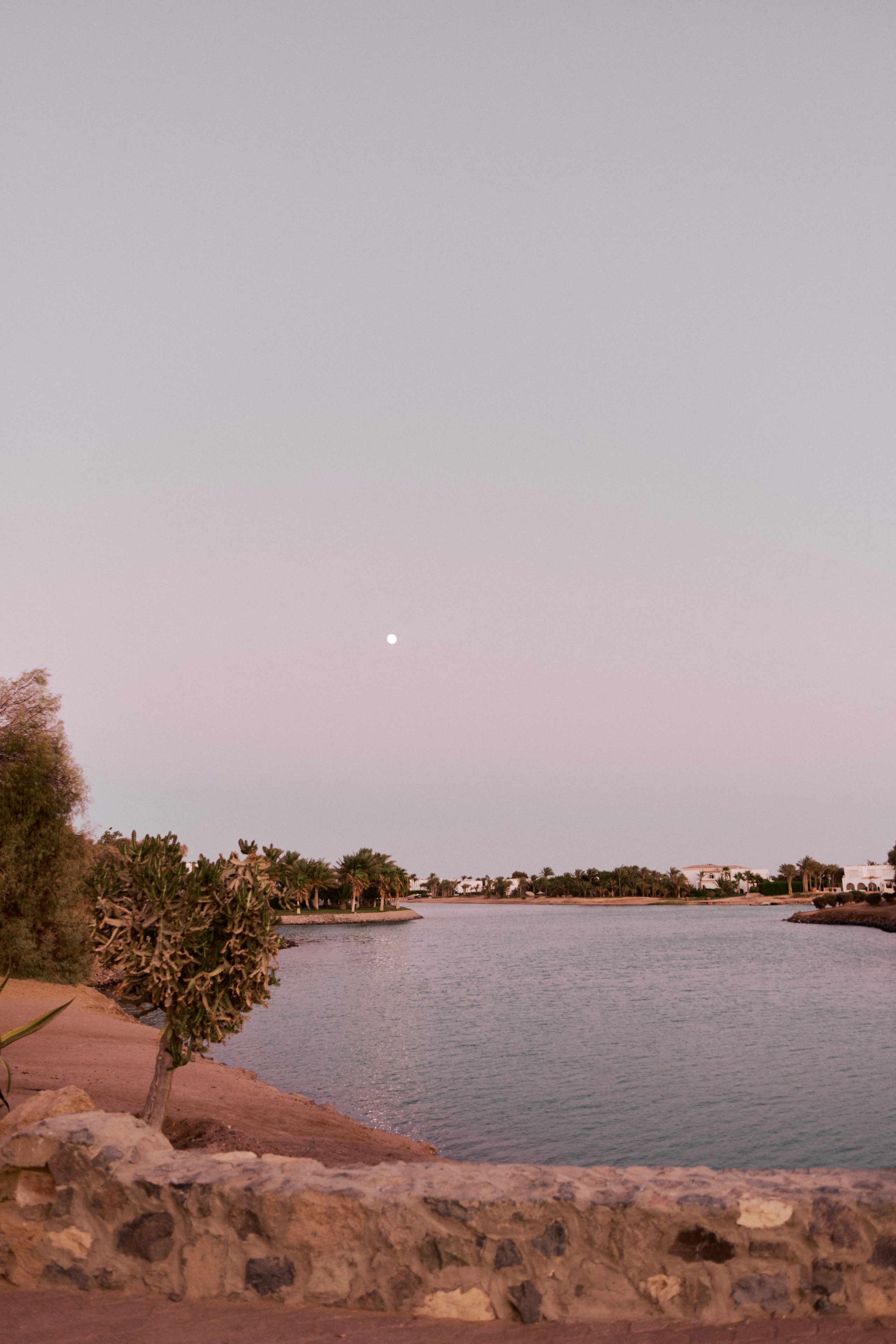 Другое 3. Jorgis Talè — photographer, kind person, teacher of arts and other mag