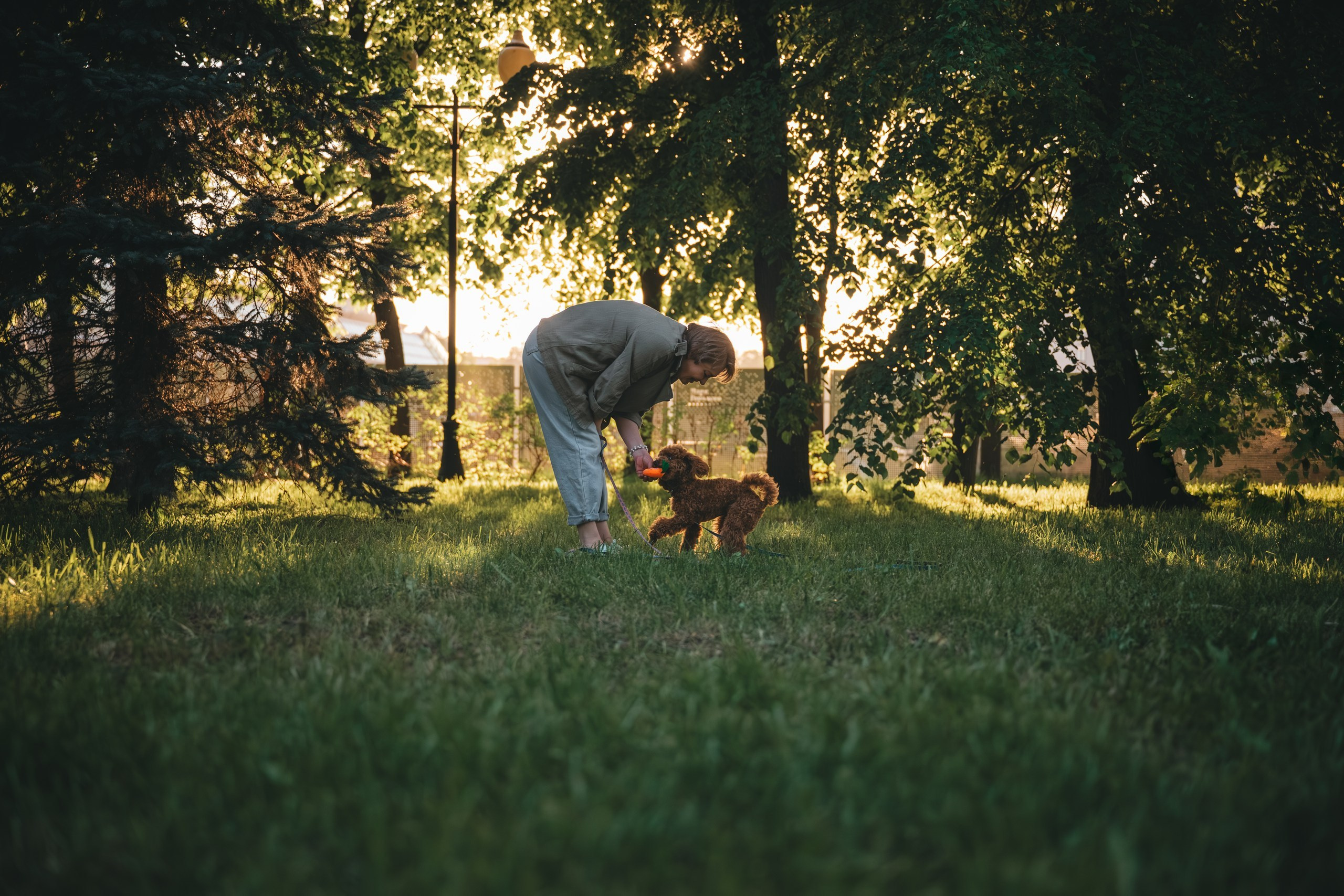 Юля с пуделем. Фотограф Анималист в Москве Анастасия Жучкова