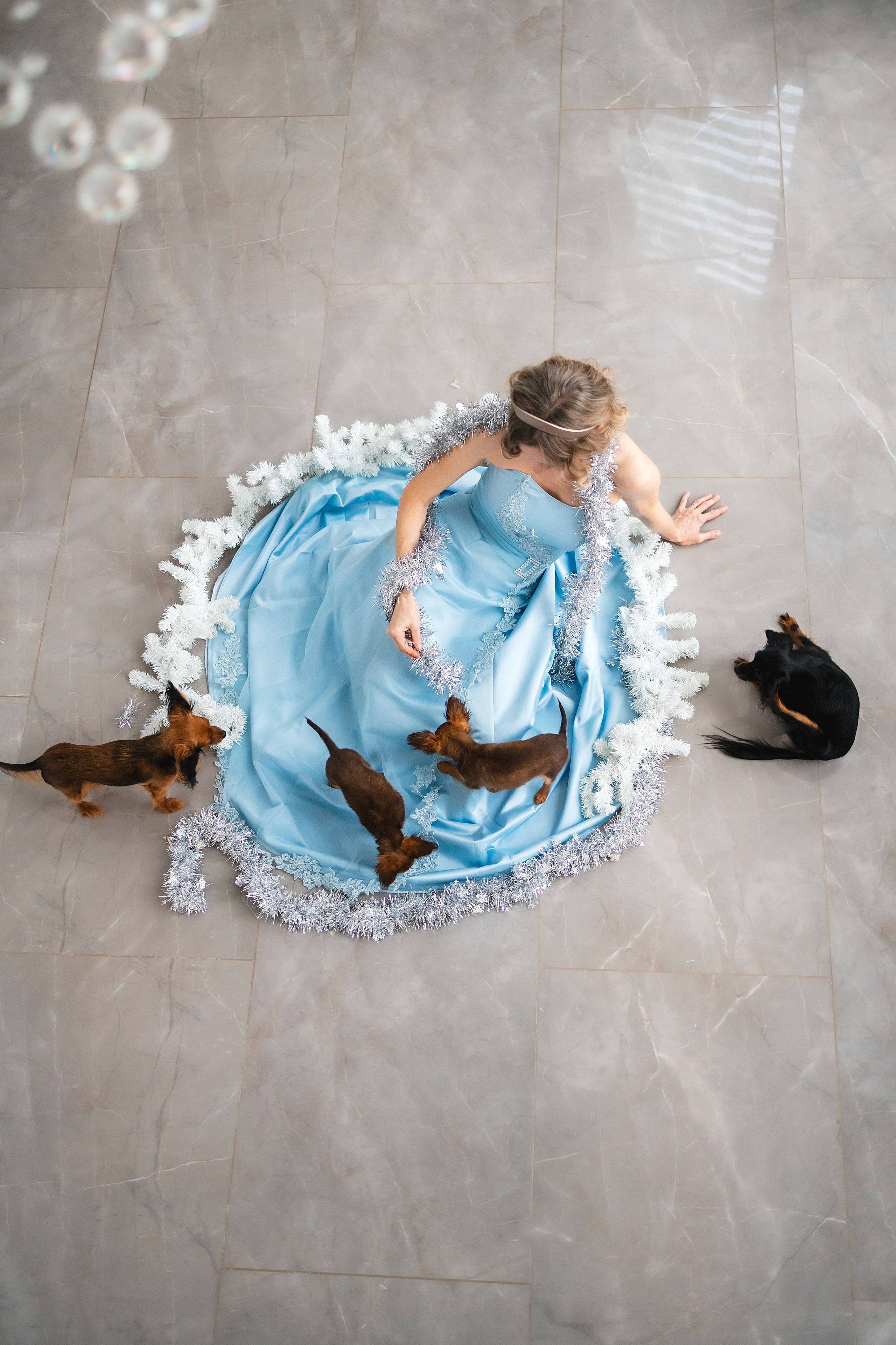 Домашняя съемка. Фотограф Анималист в Москве Анастасия Жучкова