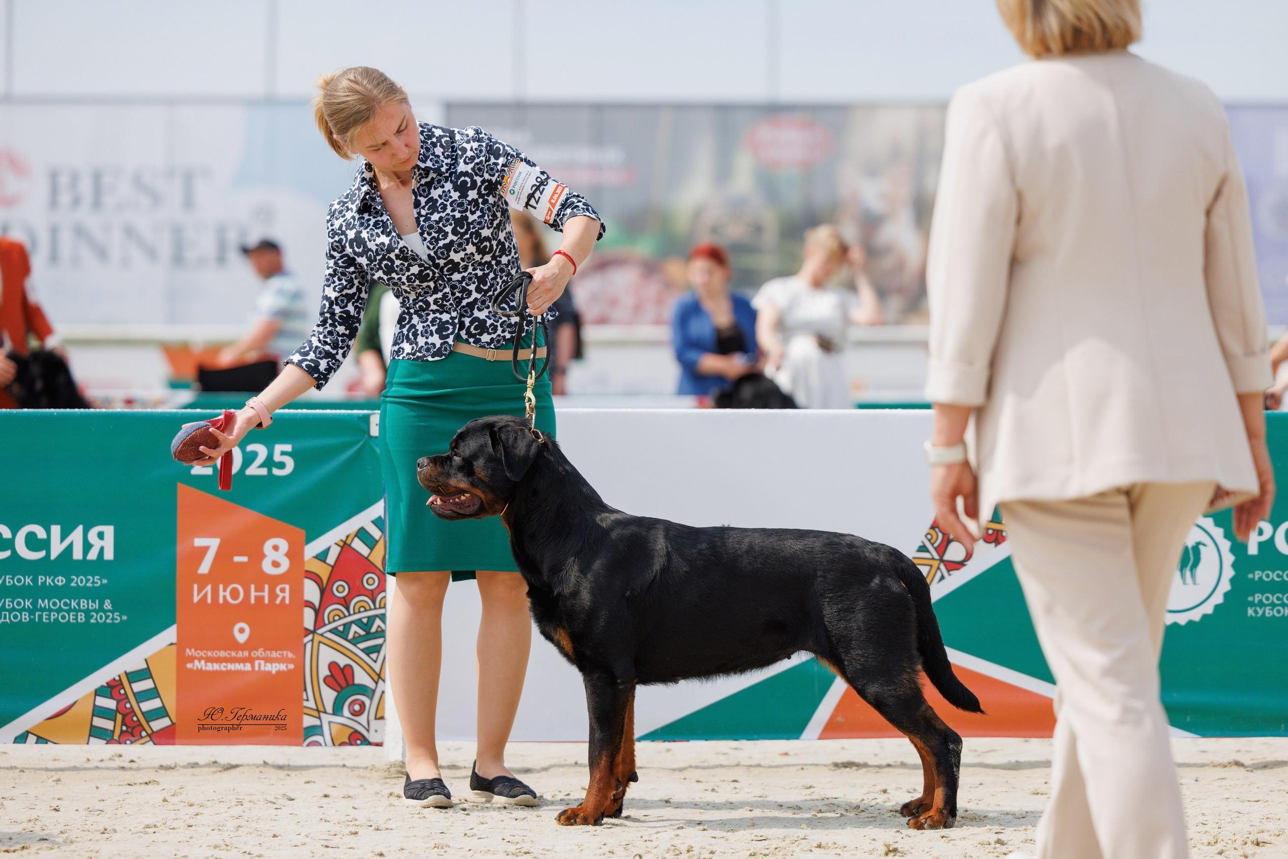 РОССИЯ 7-8.06.2025. Фотограф-анималист Юлия Германика