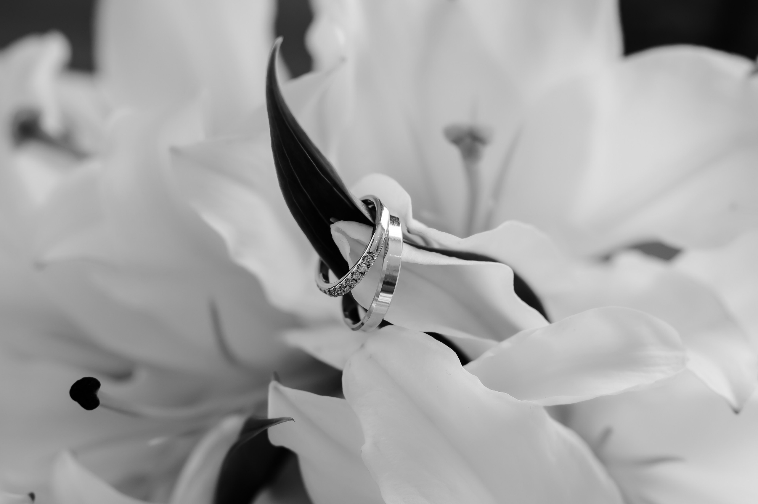 Виктория&Алексей. Свадебный и семейный фотограф Евгения Кононова