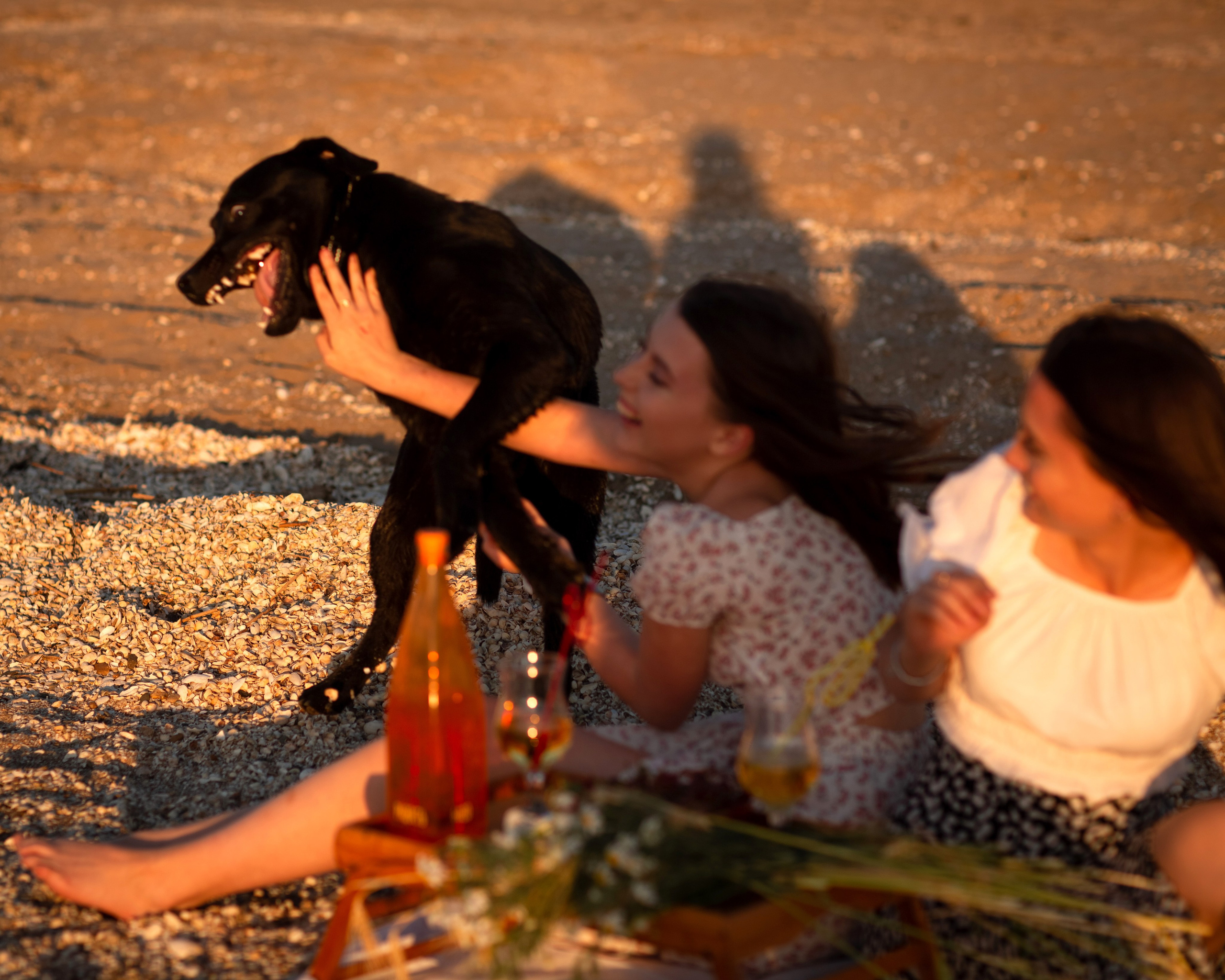 Пикник на закате. Фотограф в Приморско-Ахтарске Марьяна Чопко