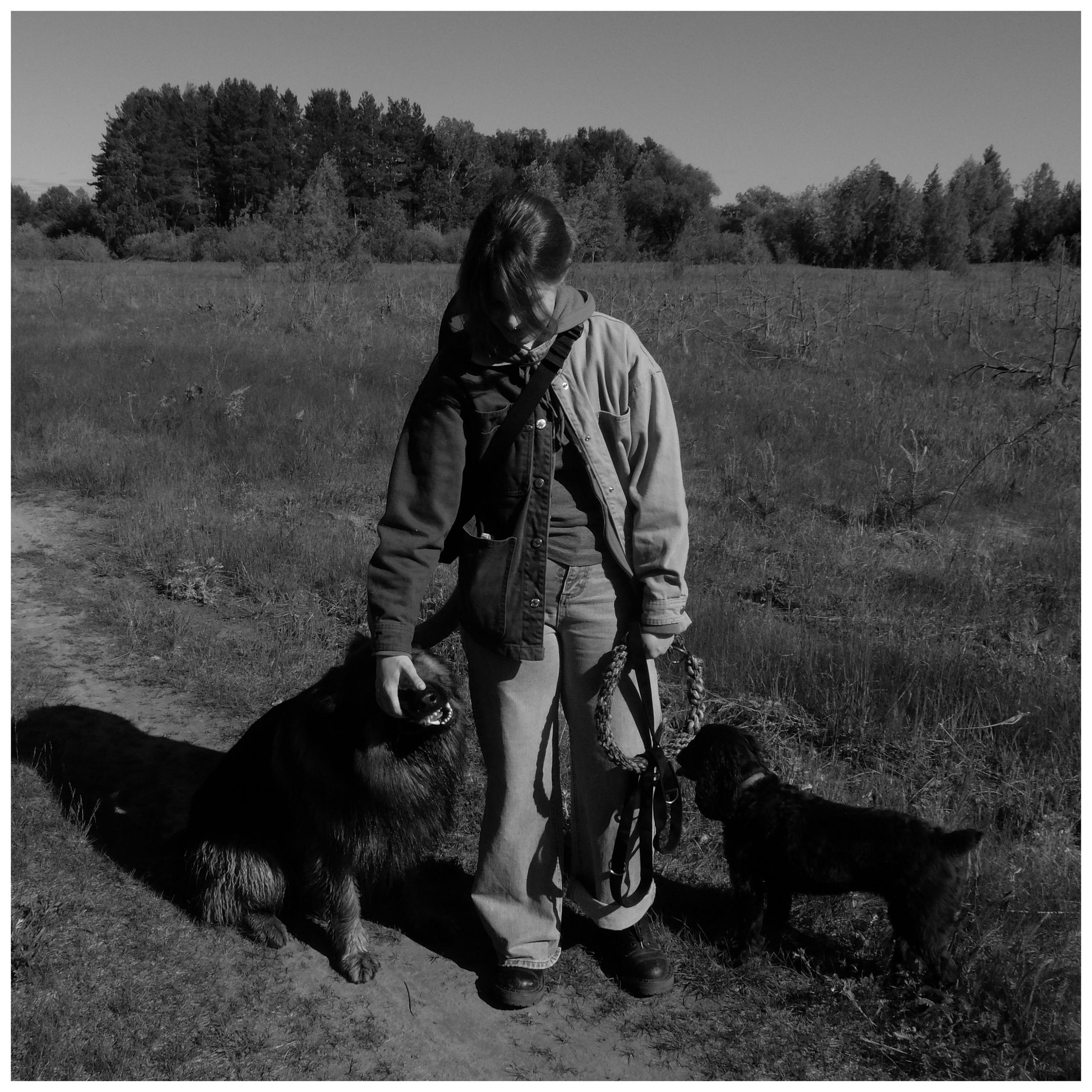 Промежуточные моменты (2022)