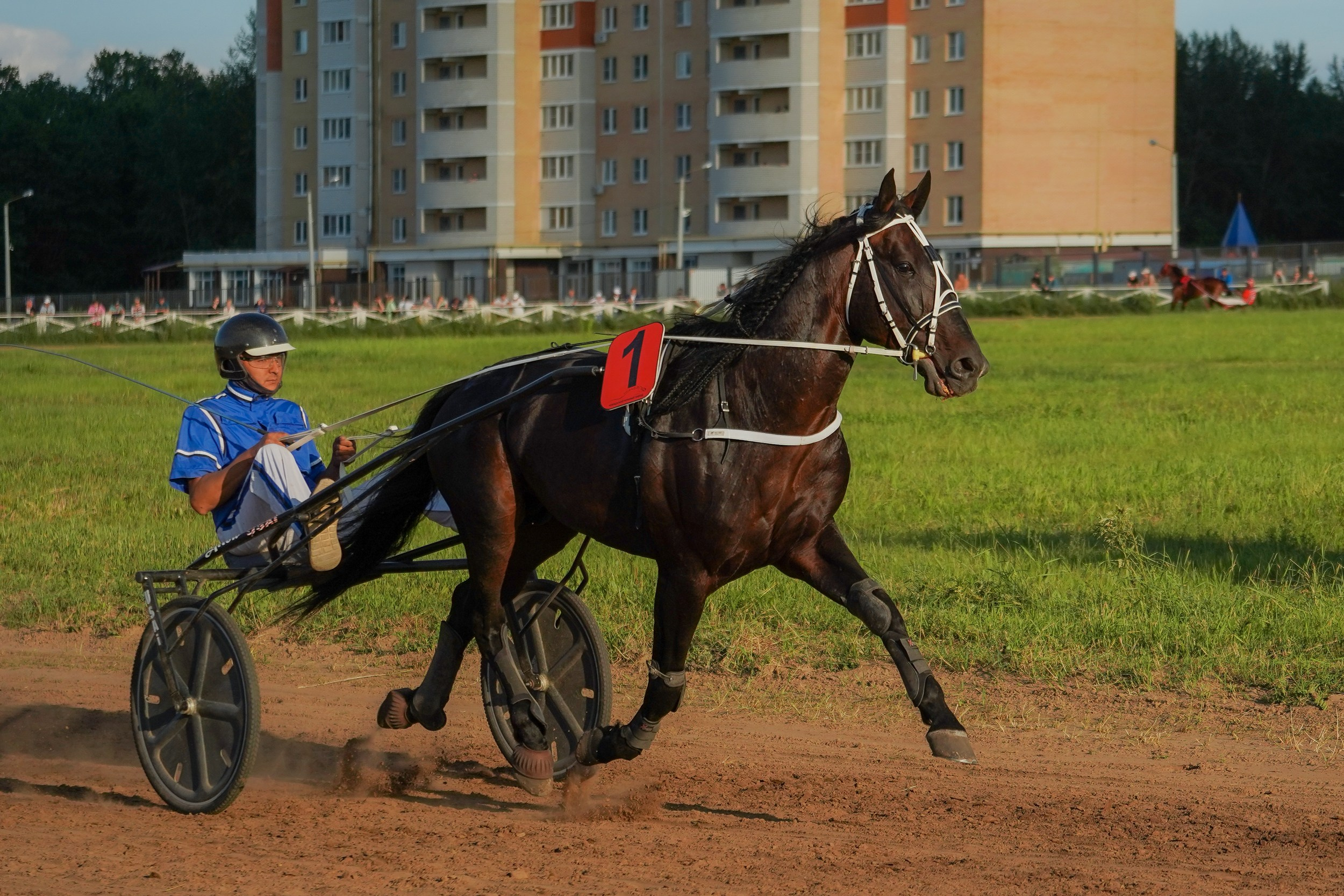 III конные бега на Кубок Главы Чувашии. Фотограф-анималист, портретный фотограф в Чебоксарах Мария Садыкова