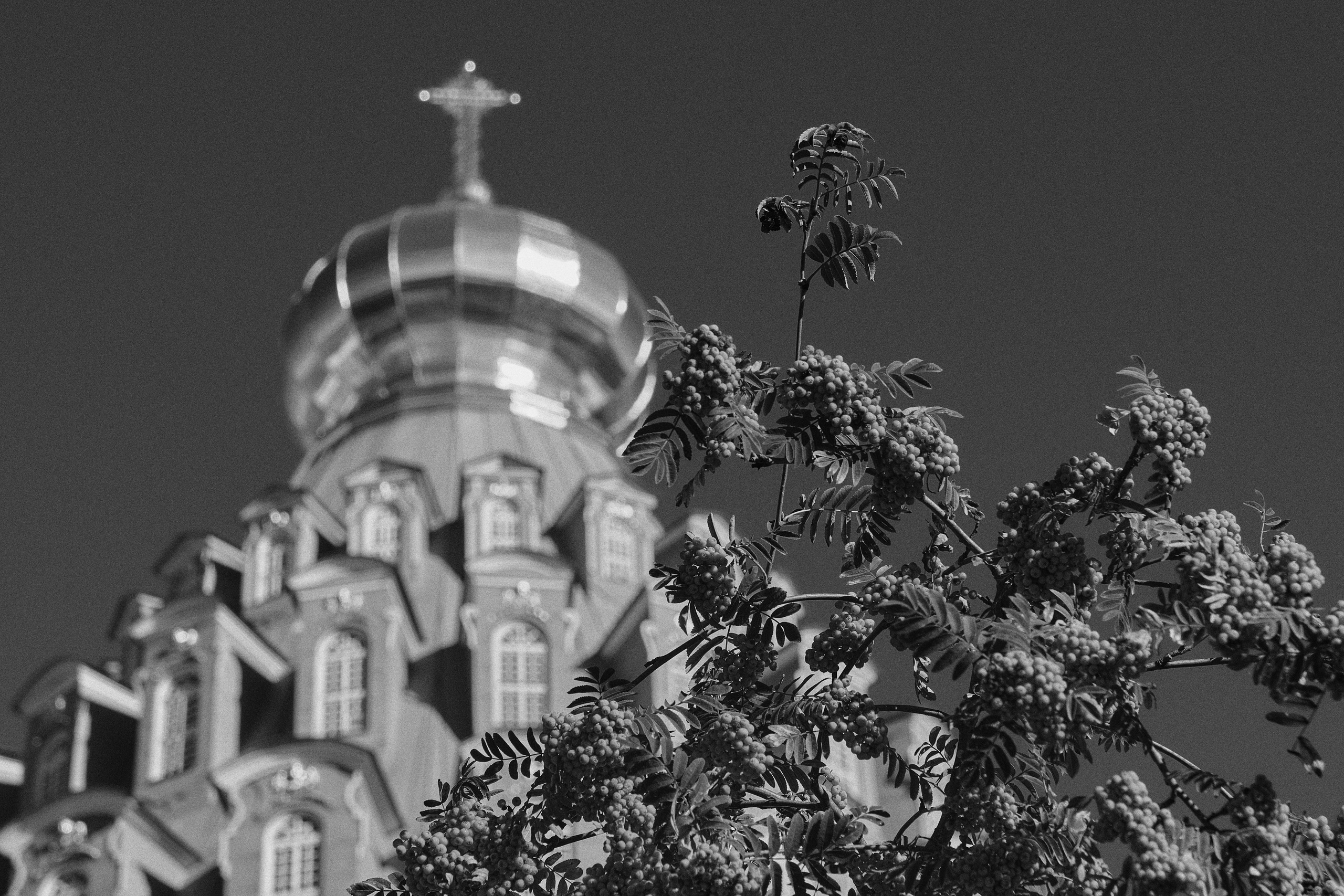 Воскресенский Ново-Иерусалимский монастырь / Истра. Aleksandr Kobtsev