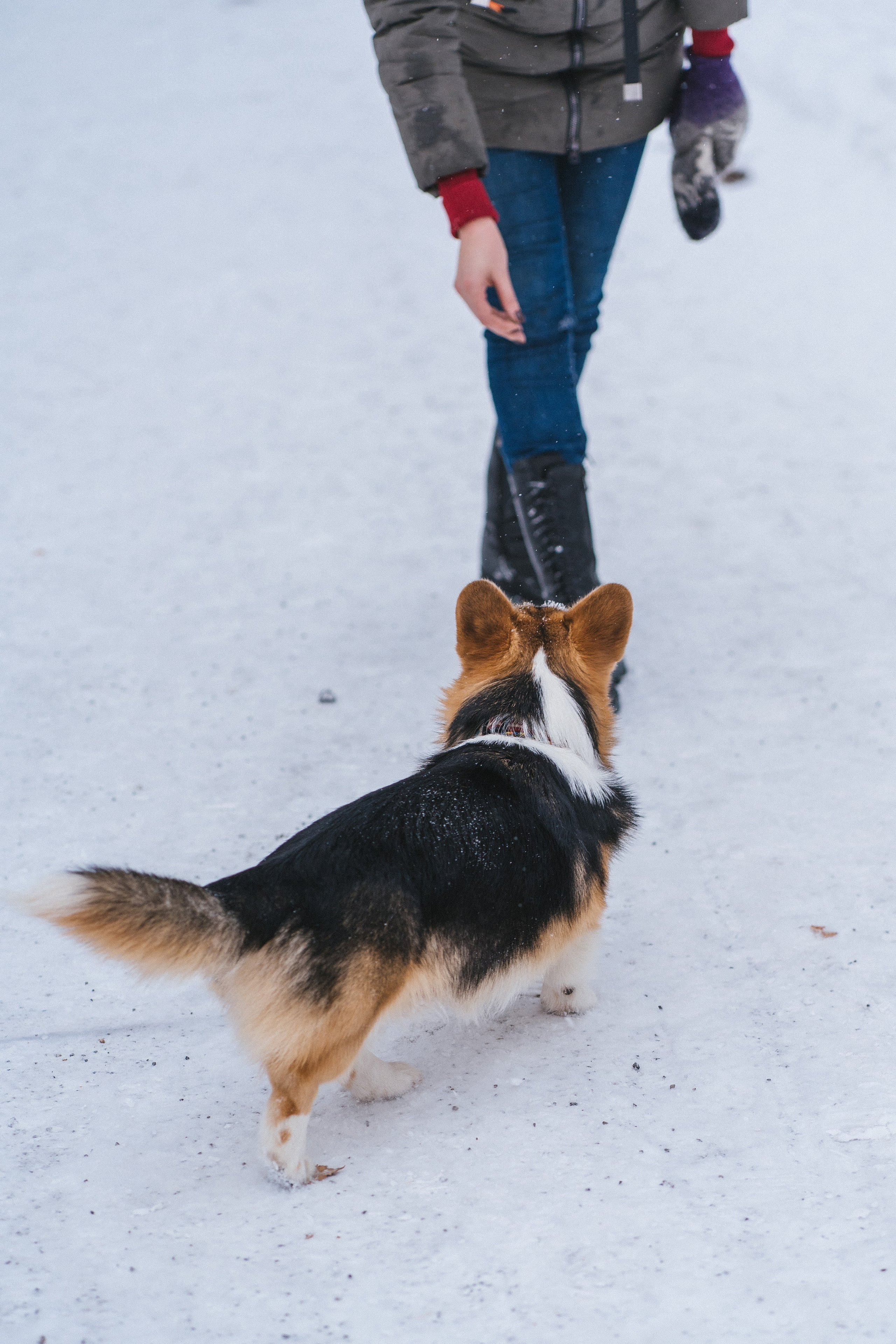Каспер и Полина. Свадебный фотограф в Москве Анна Полушина