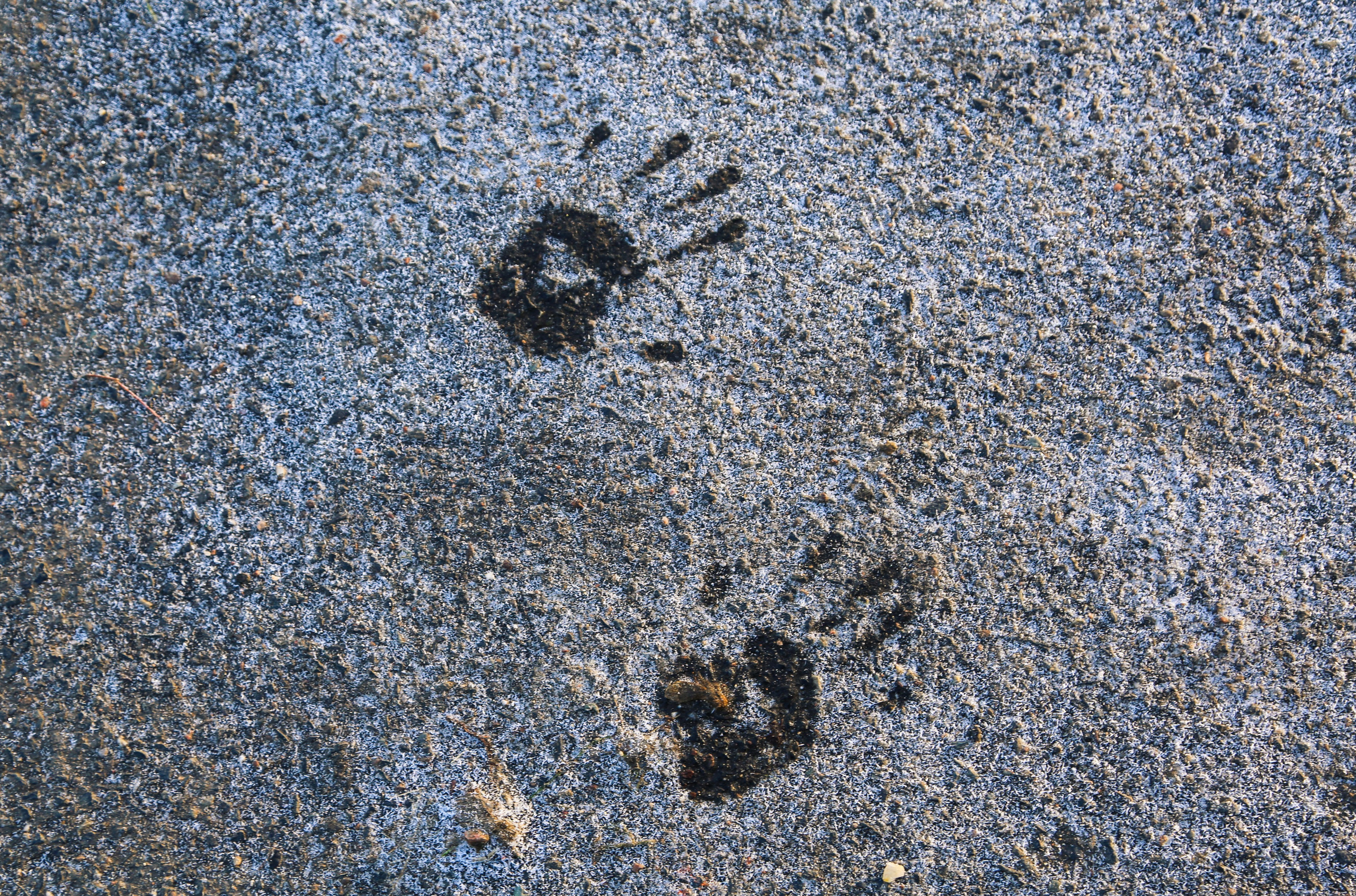 Чехия: Прага. Дарья Письменюк / Darya Leitstern — фотограф, музыкант, журналист, путешественник