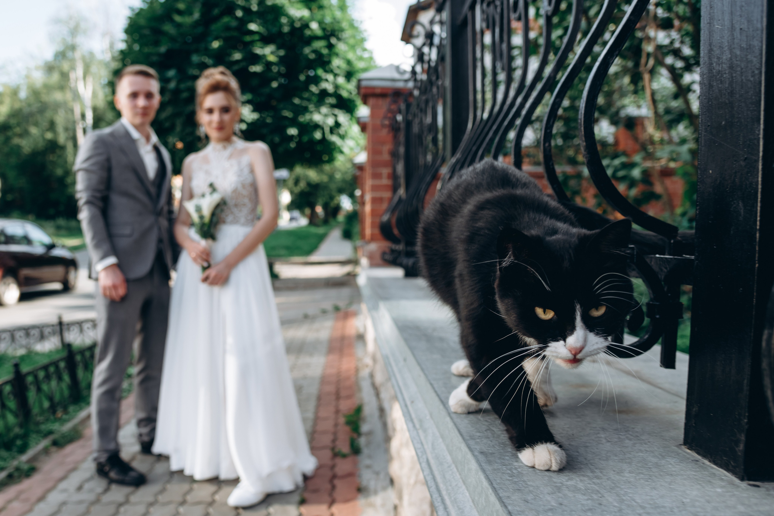 Лучшее. Свадебный фотограф Антон Пентегов