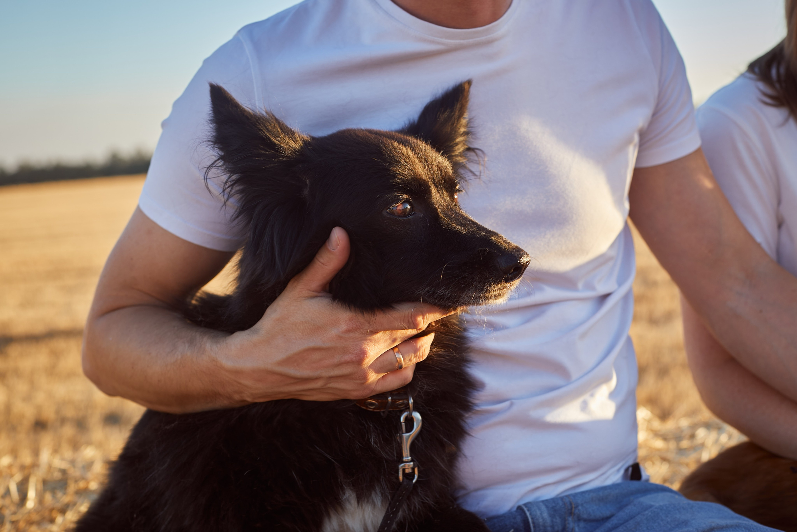 «Семья с лапками». Свадебный и креативный фотограф в ЮФО и МСК