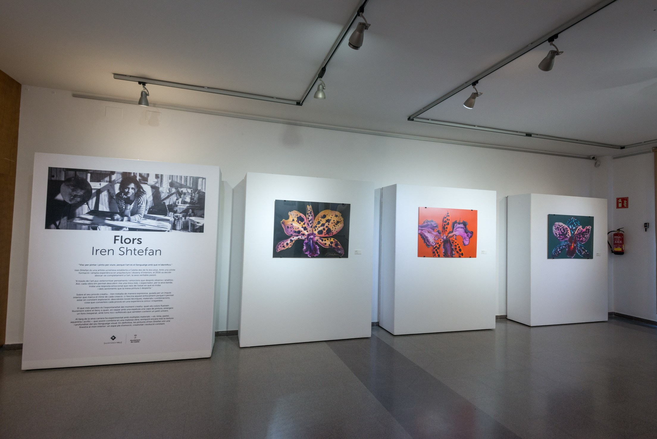 Exposición de Arte Abstracto. Fotógrafo Aleksandr Rybintsev