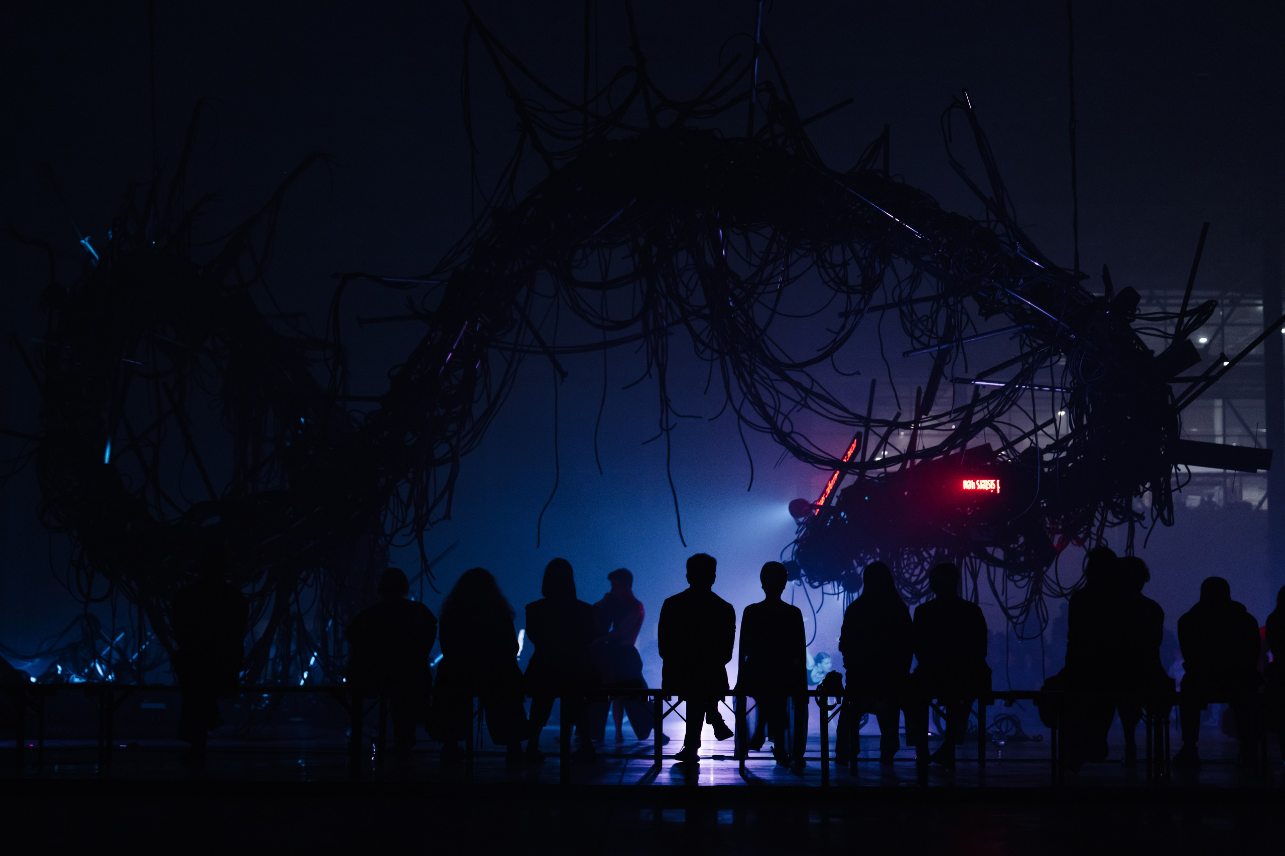 PERFORMA, The Hour of the Horse. @tomrus: Рустам Шагиморданов — фотограф