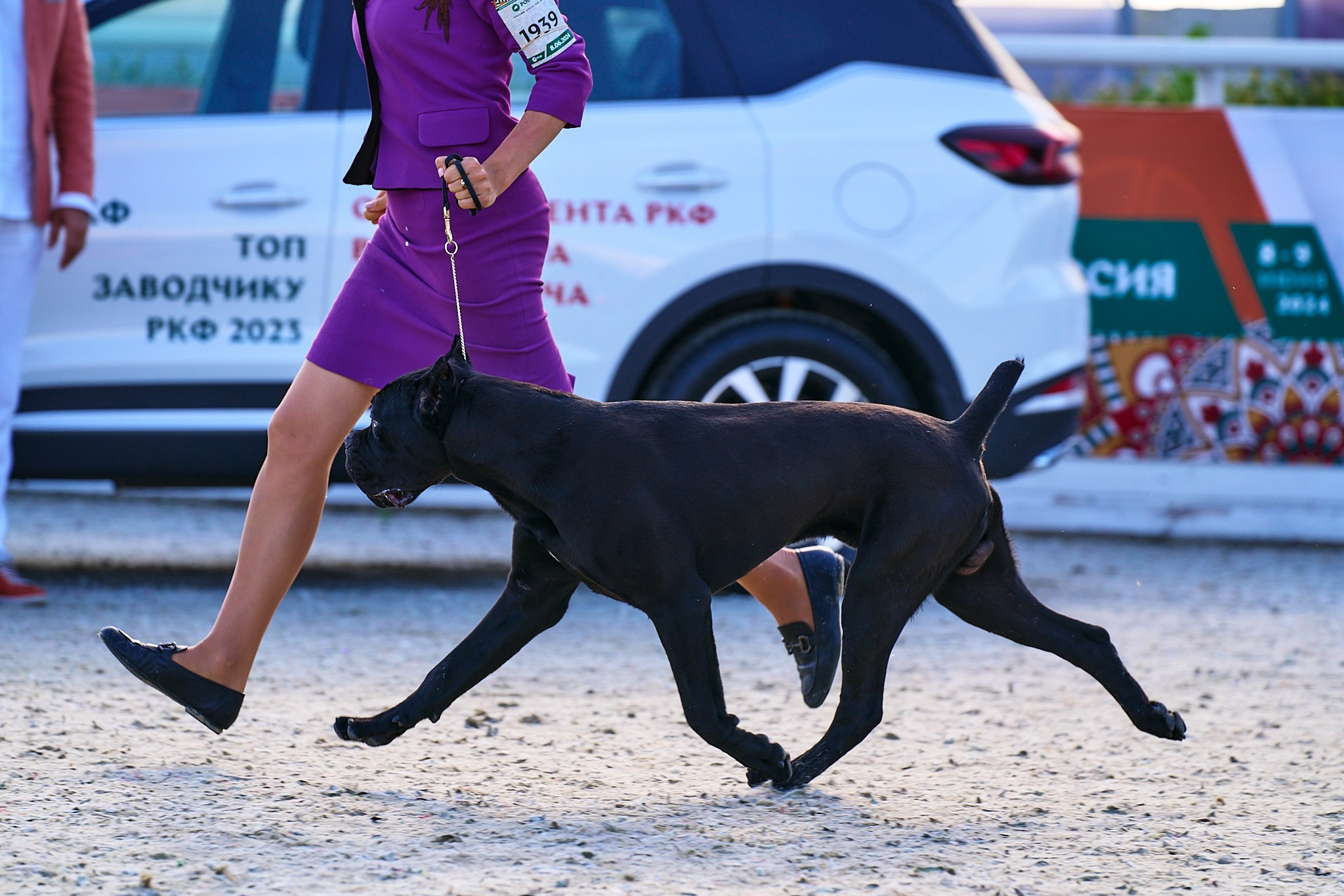 08.06.2024 «РОССИЯ. КУБОК РКФ 2024»