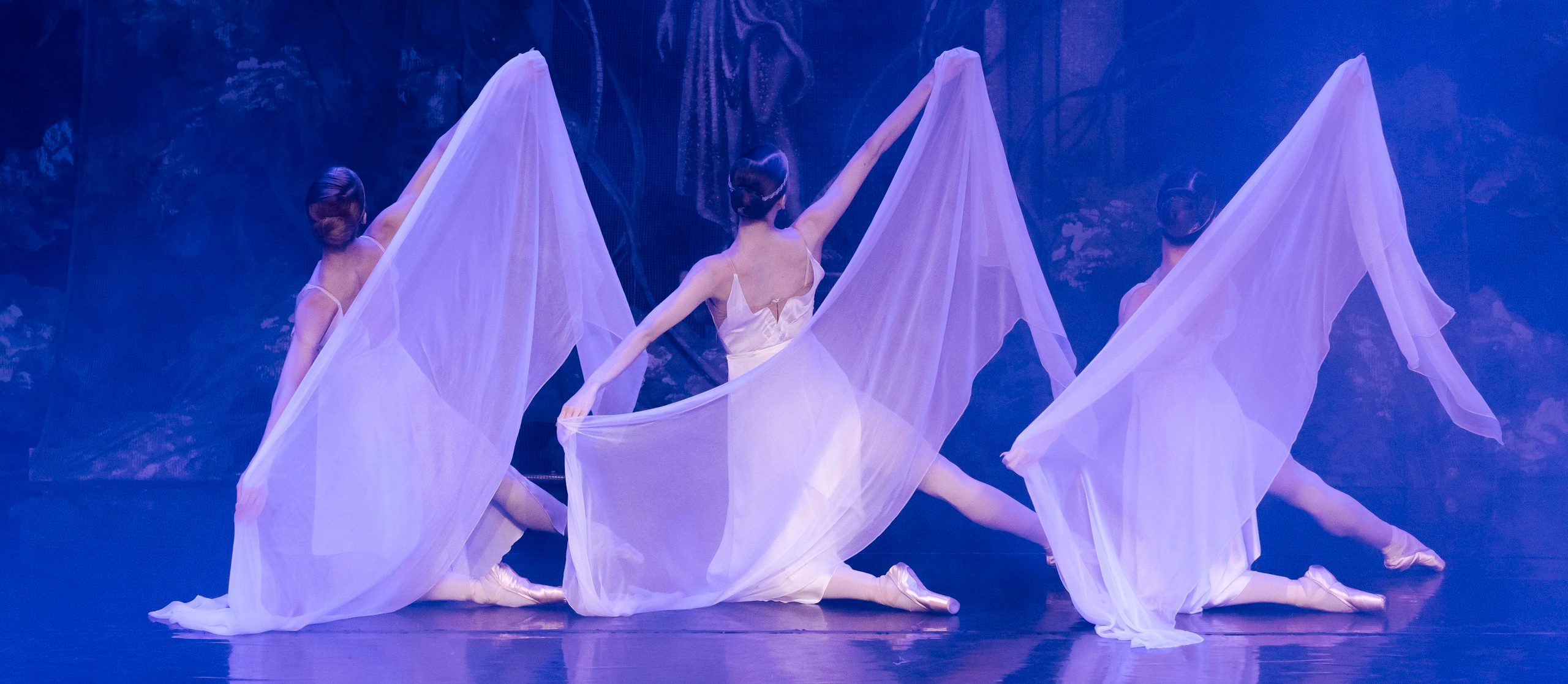 Нимфы «Вальпургиева ночь» для Moscow ballet La Classique. Балетный фотограф Москва Майоров Николай